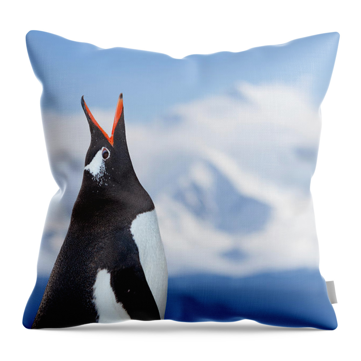 Scenics Throw Pillow featuring the photograph Antarctica Gentoo Penguin Shouting by Grafissimo