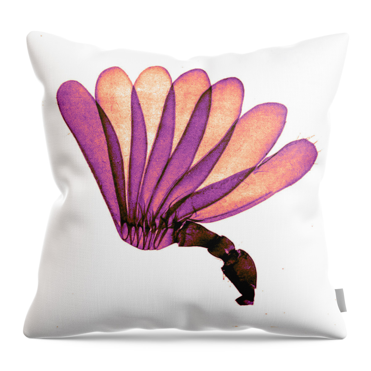 History Throw Pillow featuring the photograph Antenna Of Cockchafer, Early by Science Source