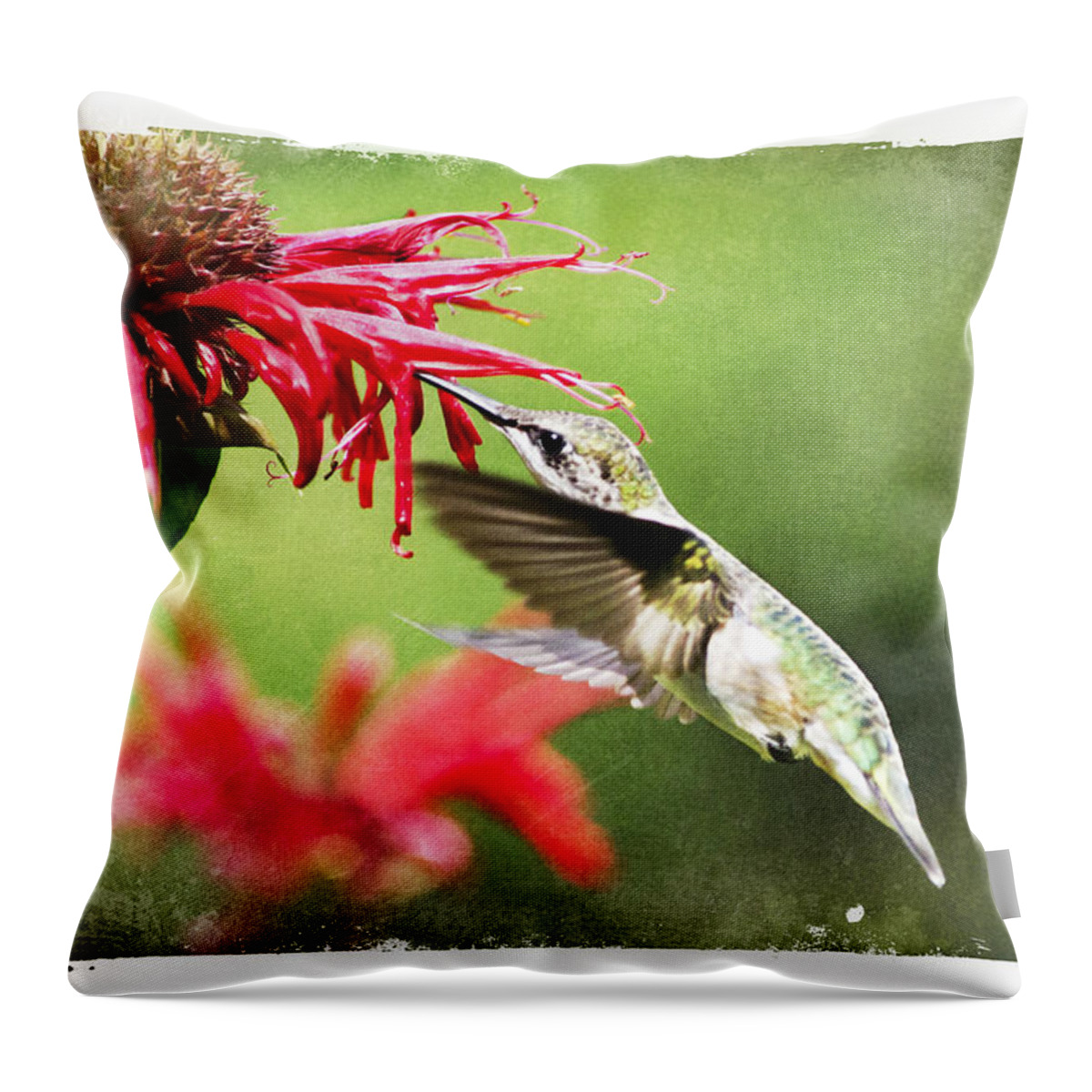 Bird Throw Pillow featuring the mixed media Antique Hummingbird Postcard No. 1124 by Christina Rollo