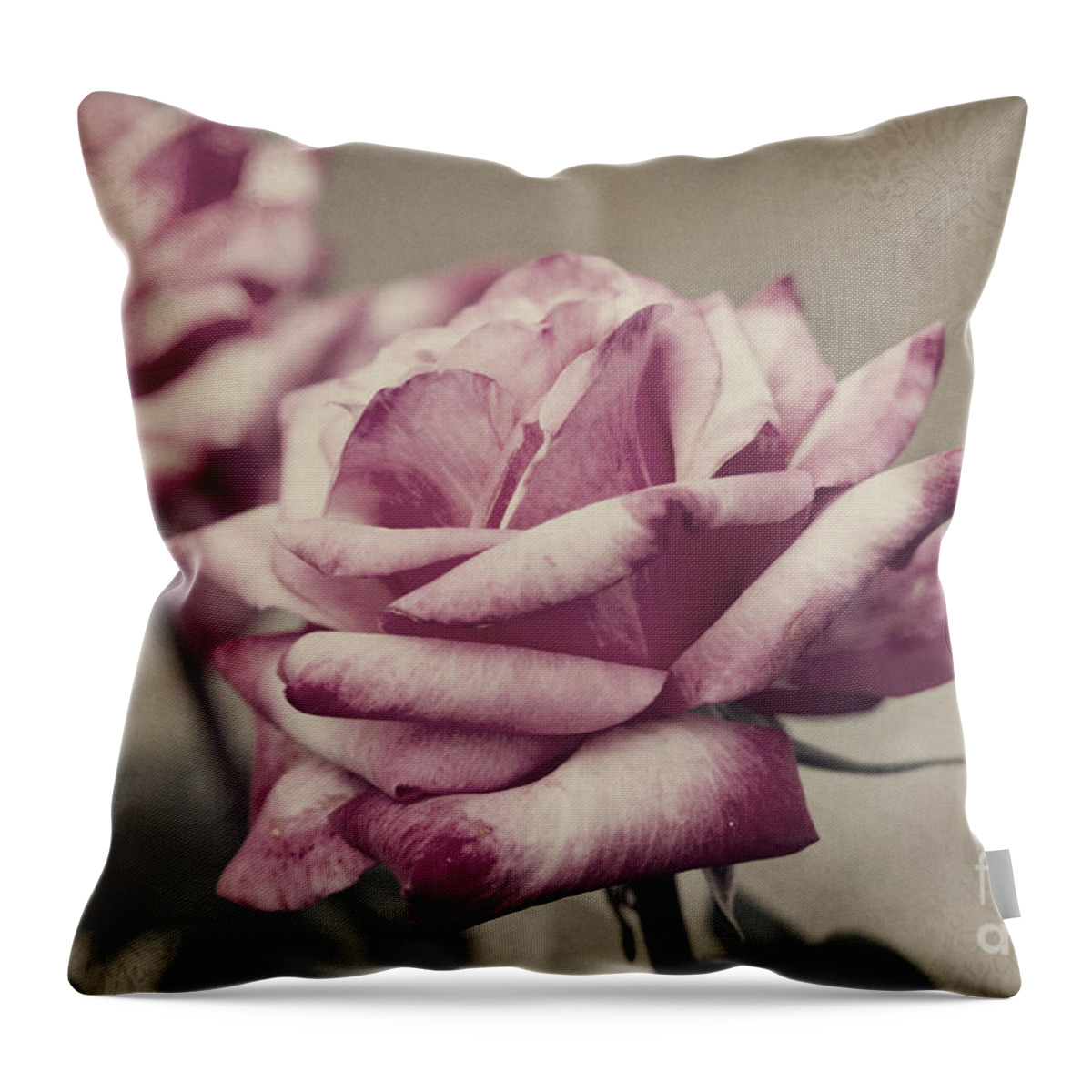 Rose Throw Pillow featuring the photograph Antique Red Hybrid Tea Roses with Brocade Corners by Beverly Claire Kaiya