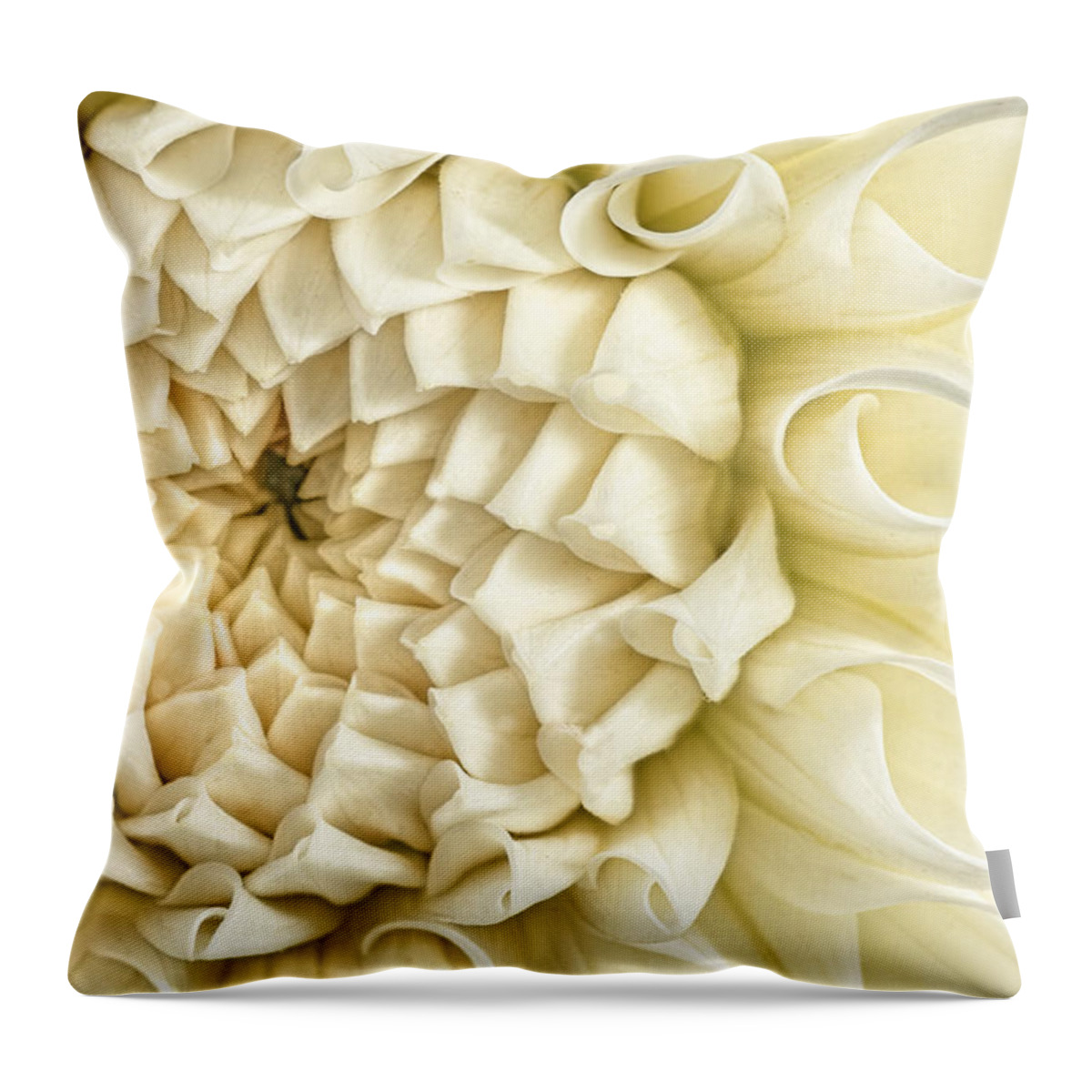 Dahlia Throw Pillow featuring the photograph Antique Silk by Marilyn Cornwell