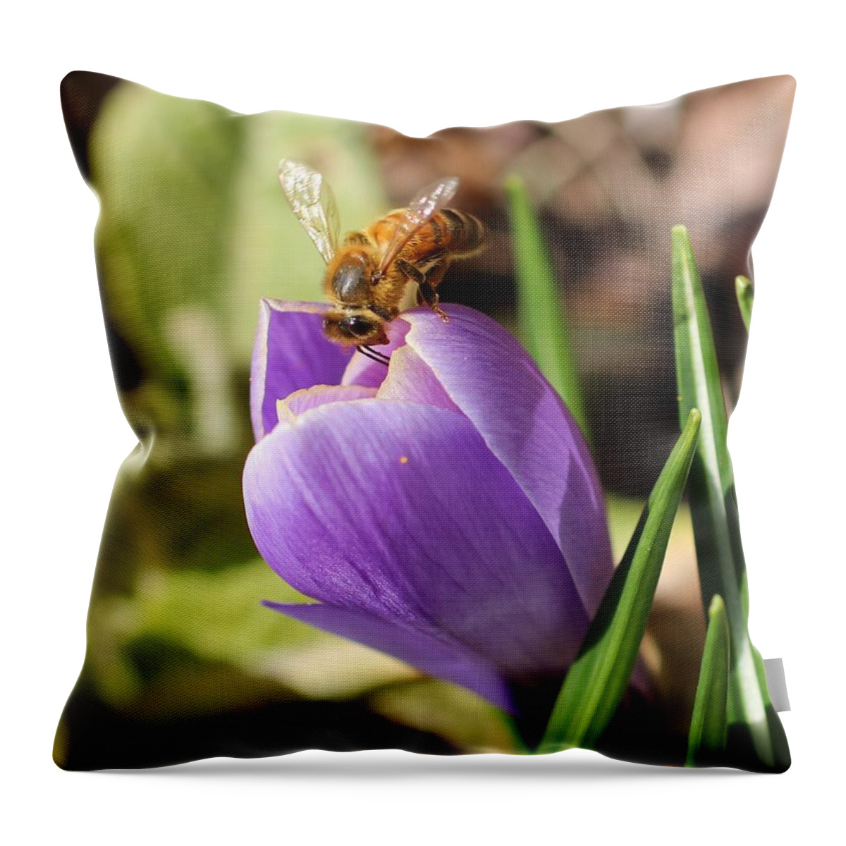 Honeybee Throw Pillow featuring the photograph Anything Good in There? by Lucinda VanVleck