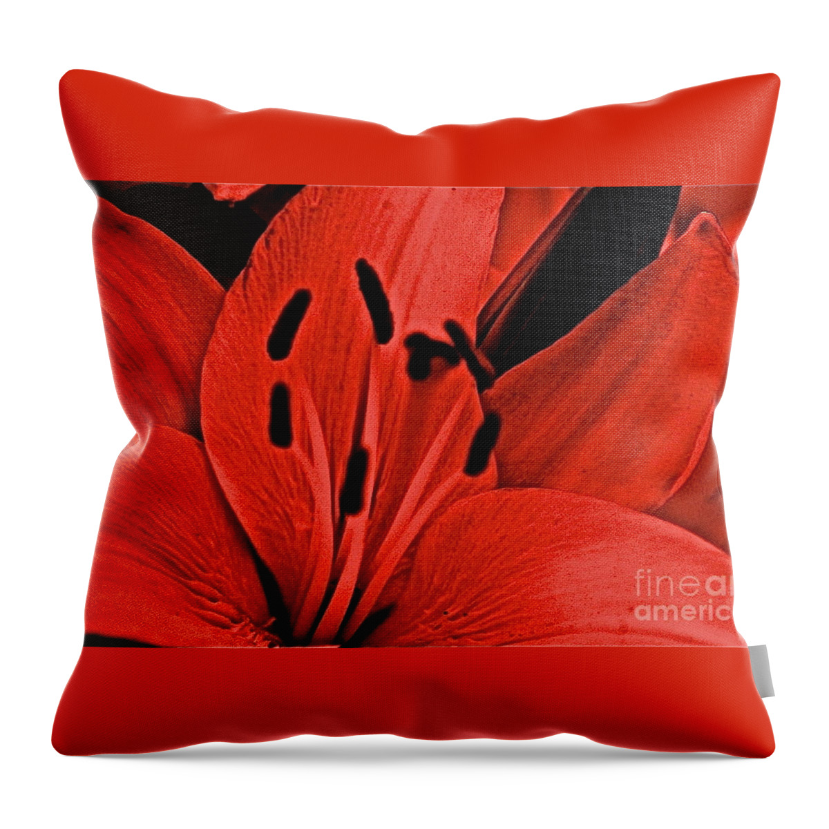 Flowers Throw Pillow featuring the photograph Aplomb by Tracy Rice Frame Of Mind