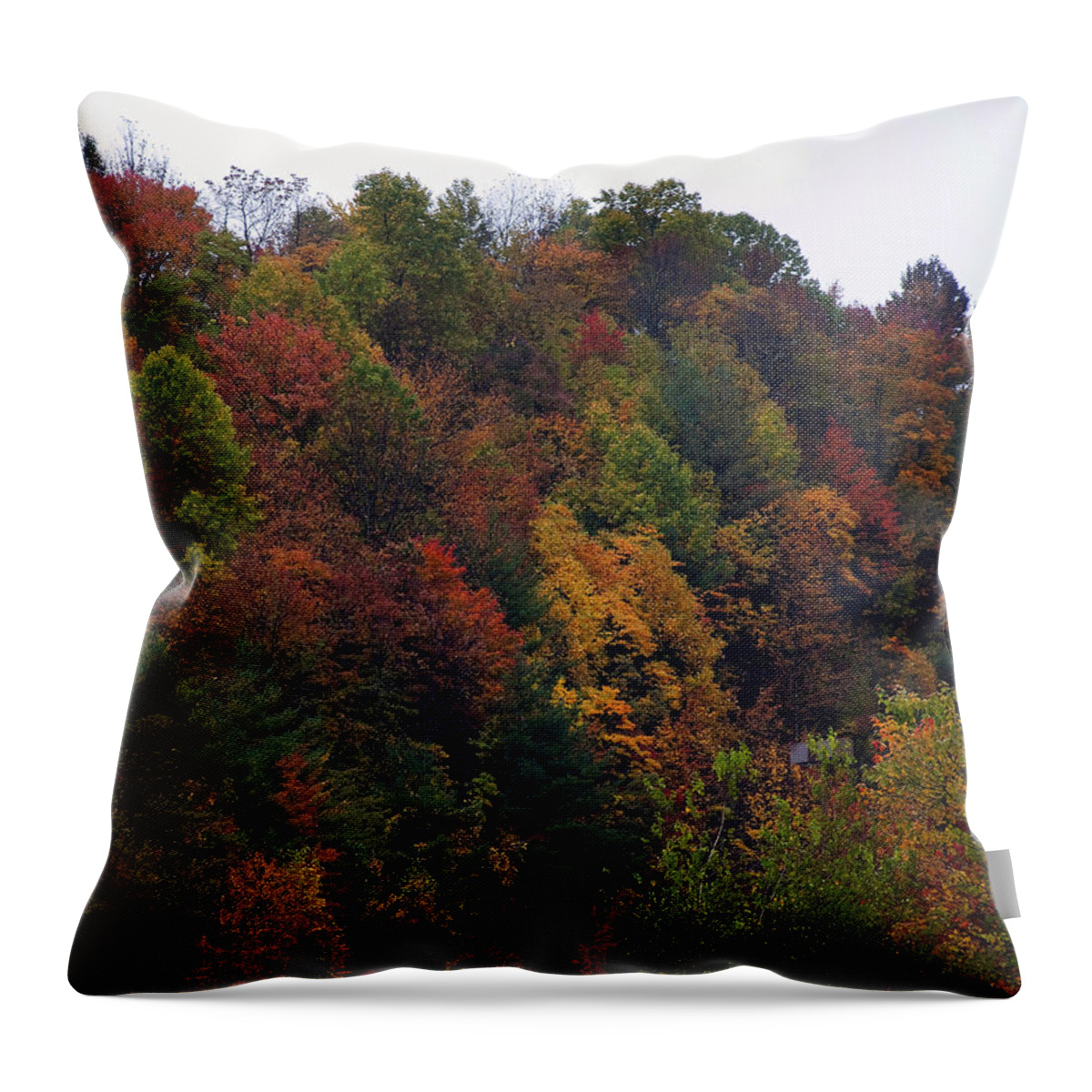 Landscape Throw Pillow featuring the photograph Appalachian mountain fall by Flees Photos