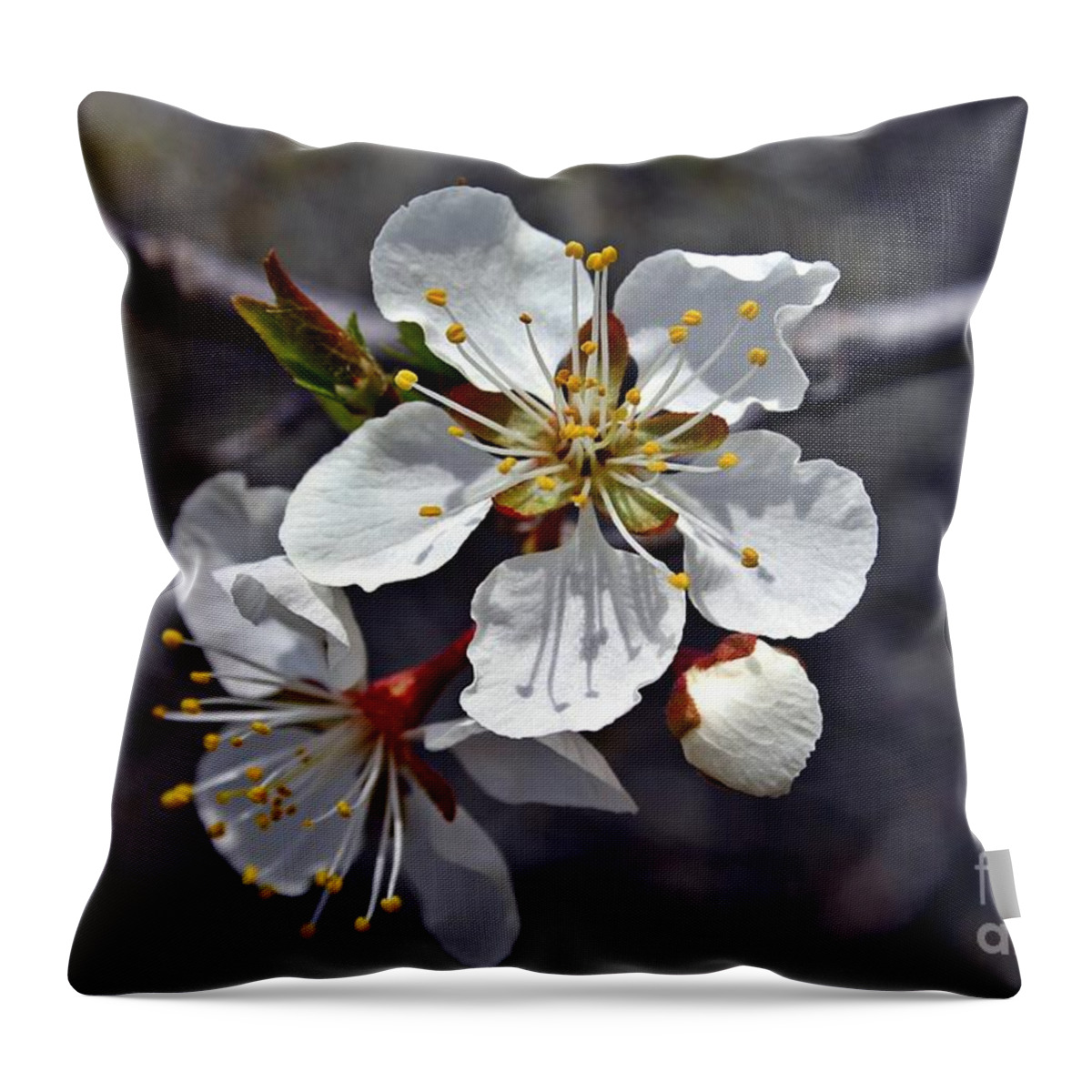Blossom Throw Pillow featuring the photograph Apple Blossom 3 by Henry Kowalski
