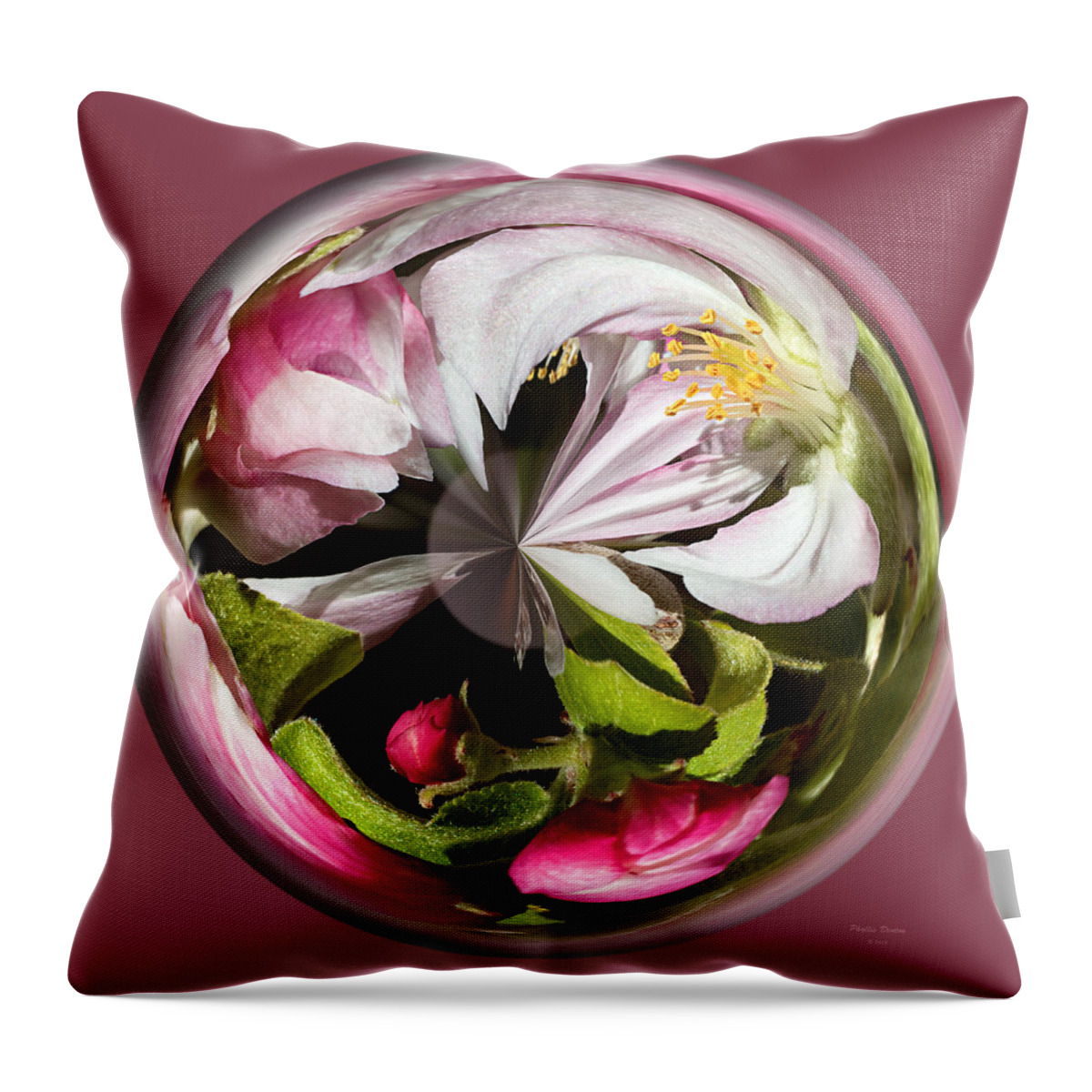Apple Throw Pillow featuring the photograph Apple Blossom Globe by Phyllis Denton