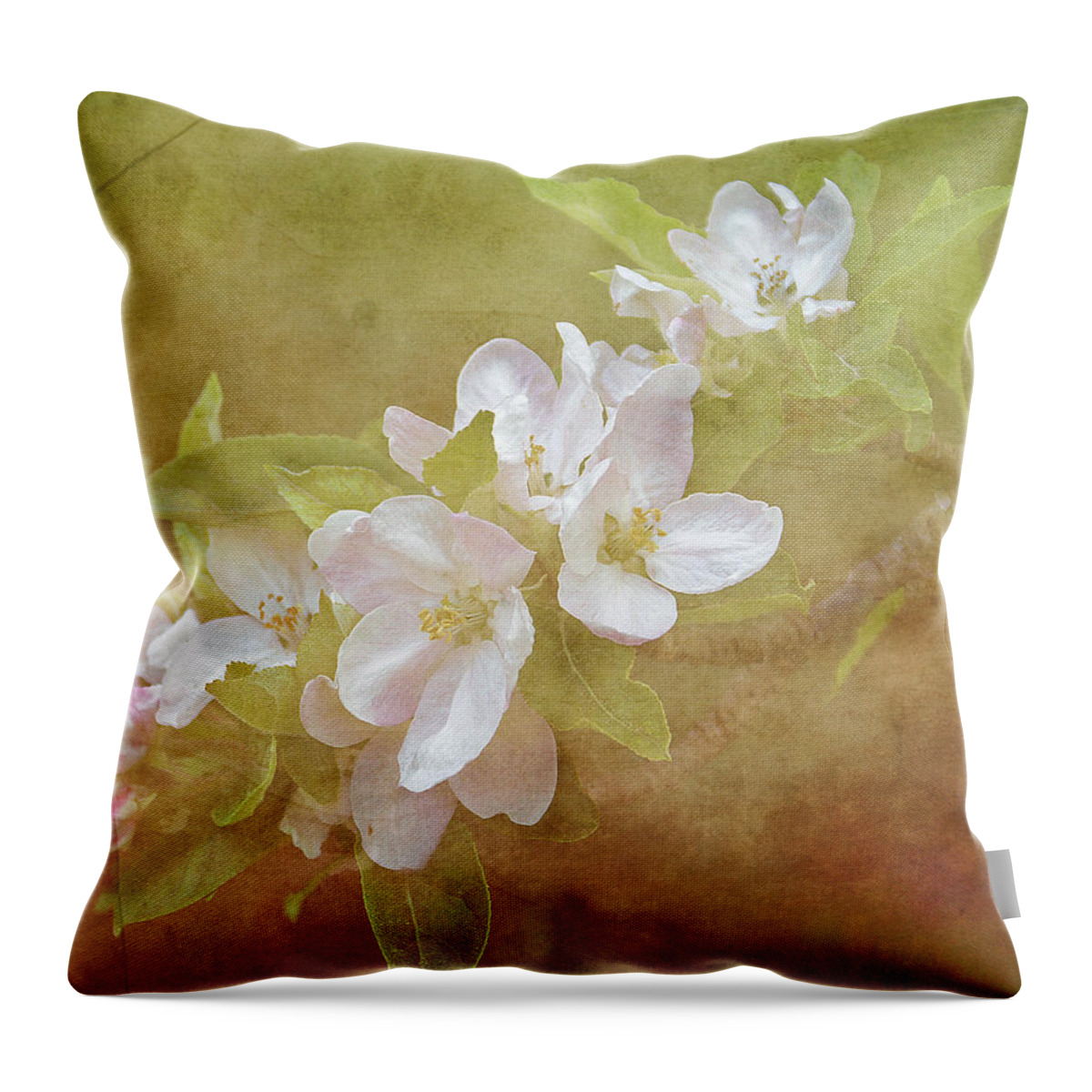 Apple Blossom Throw Pillow featuring the painting Apple Blossom Spring by TnBackroadsPhotos 