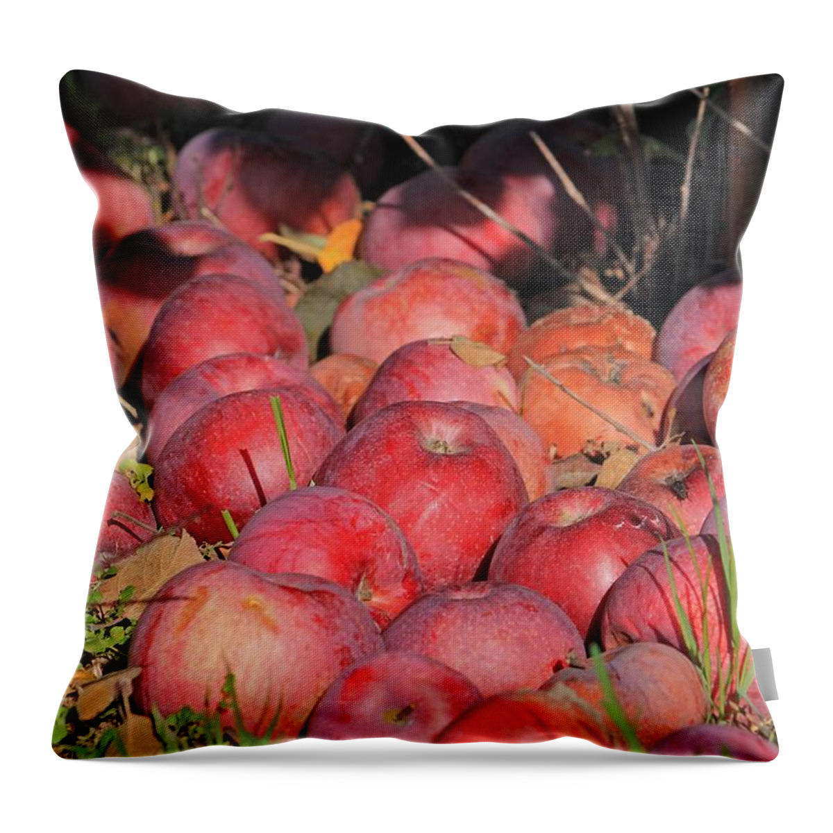 Apples Throw Pillow featuring the photograph Apple Drops 2 by Michael Saunders