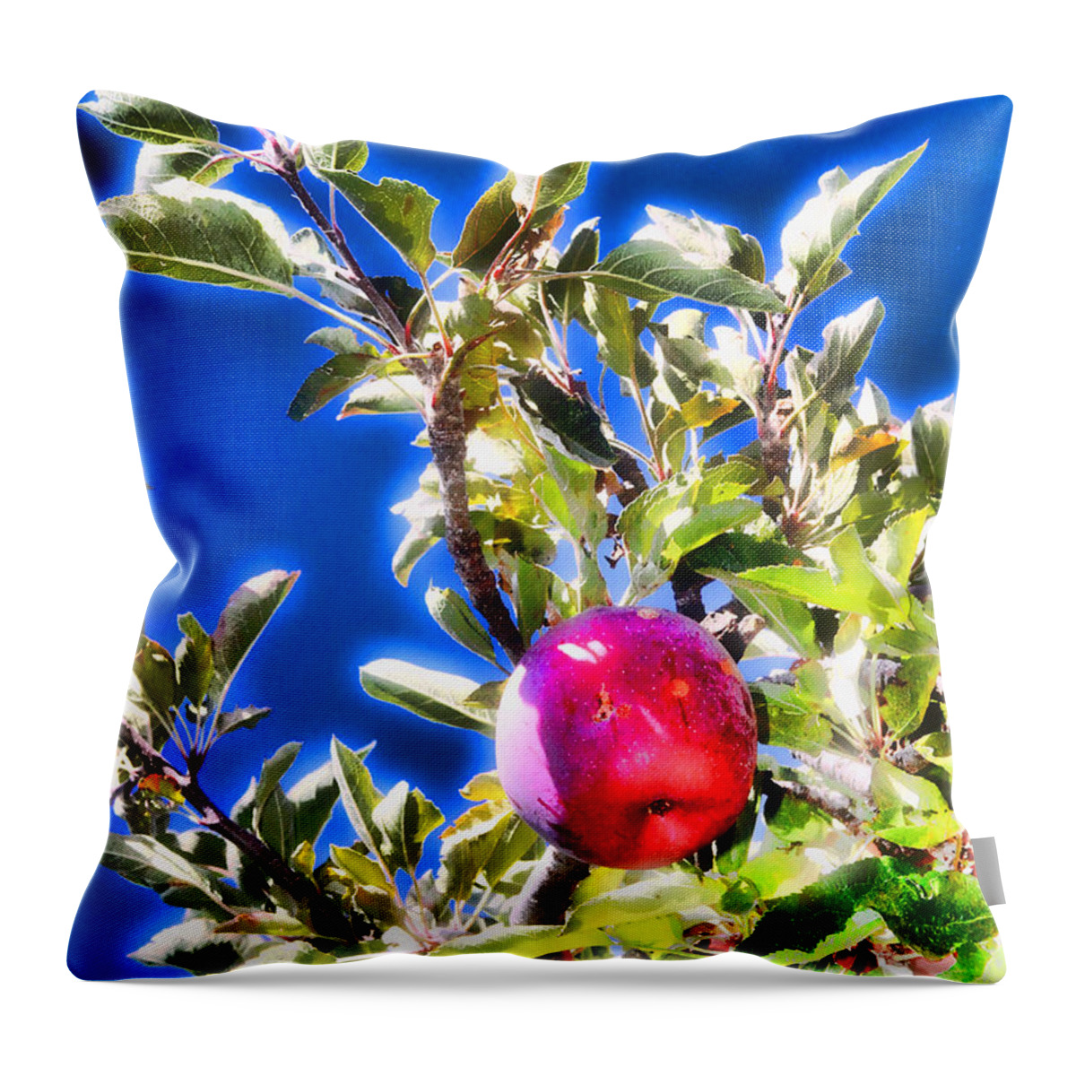Apple Throw Pillow featuring the photograph Apple for One By Diana Sainz by Diana Raquel Sainz
