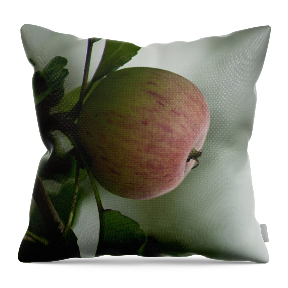 Miguel Throw Pillow featuring the photograph Apple in the Tree by Miguel Winterpacht
