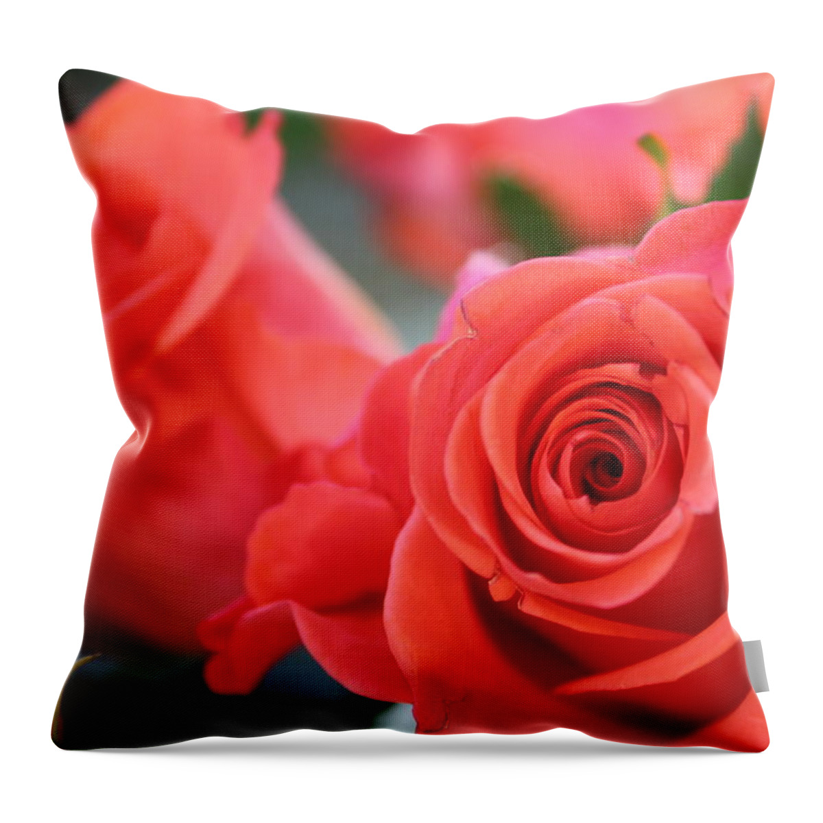Roses Throw Pillow featuring the photograph Apricot Beauty by Judy Palkimas