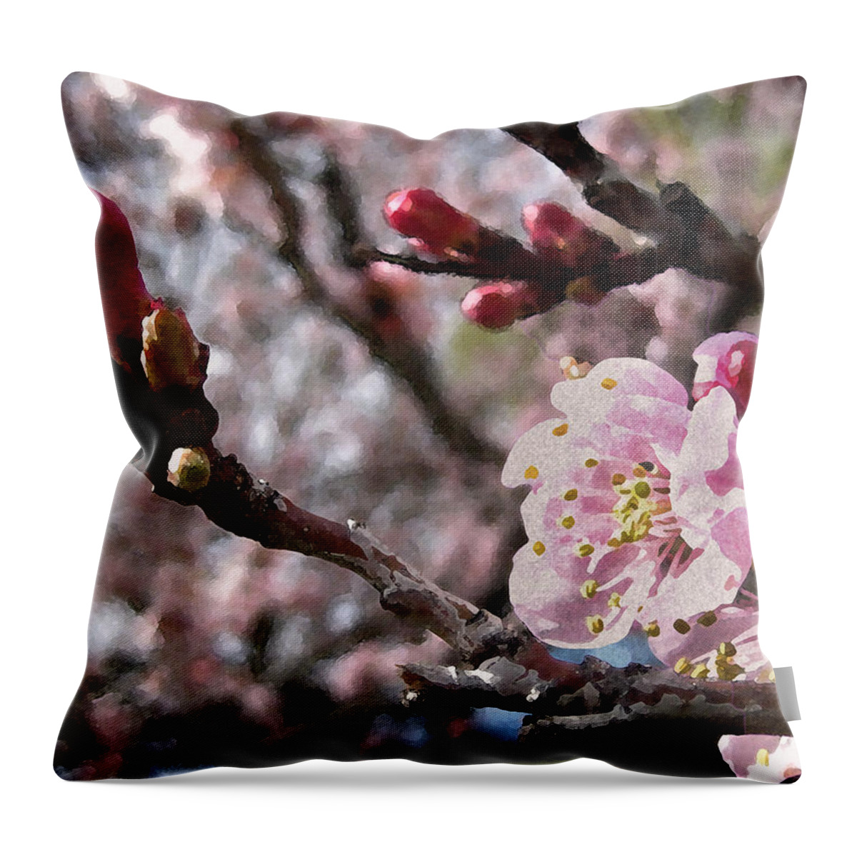Tree Throw Pillow featuring the photograph Apricot Floral by Kathy Bassett