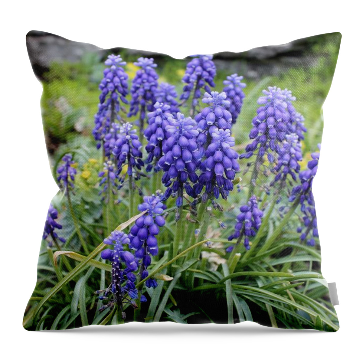 Flowers Throw Pillow featuring the photograph April Hyacinths by Lois Tomaszewski