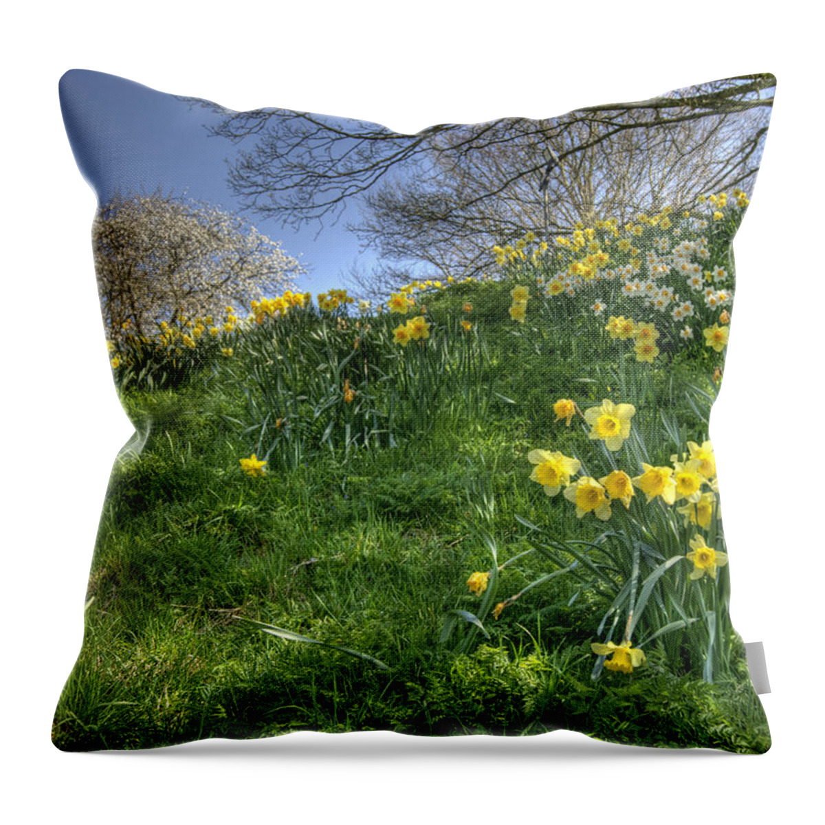April Throw Pillow featuring the photograph April Morning by David Birchall