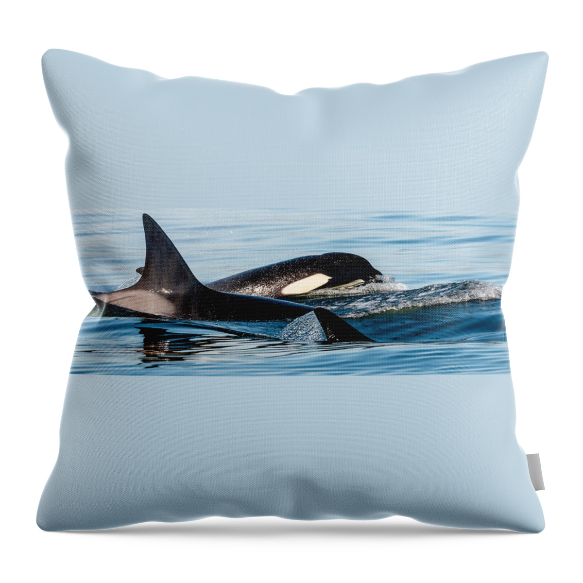 Orca Throw Pillow featuring the photograph Aquatic Immersion by Roxy Hurtubise