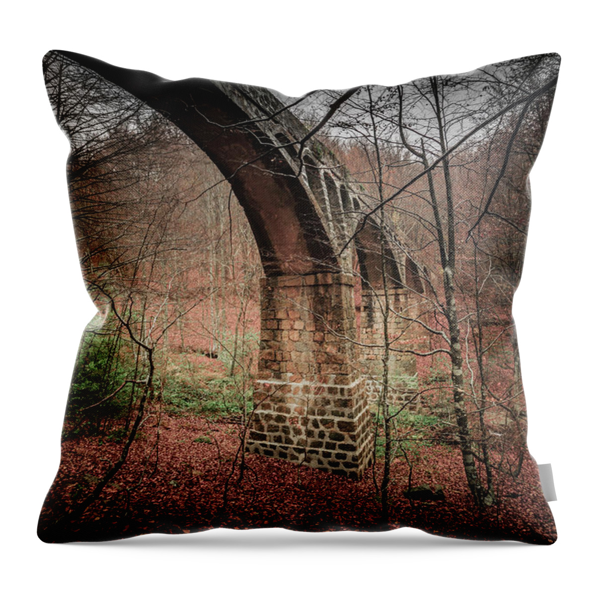 Tranquility Throw Pillow featuring the photograph Aqueduct In Montseny by Mafr Mcfa