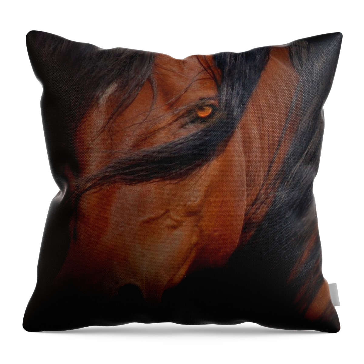 Horse Throw Pillow featuring the photograph Arabian Stallion by Stephanie Laird