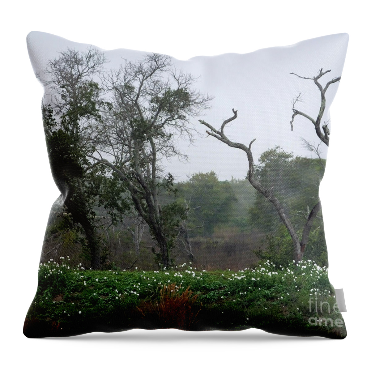 Texas Throw Pillow featuring the photograph Aransas NWR Landscape by Lizi Beard-Ward