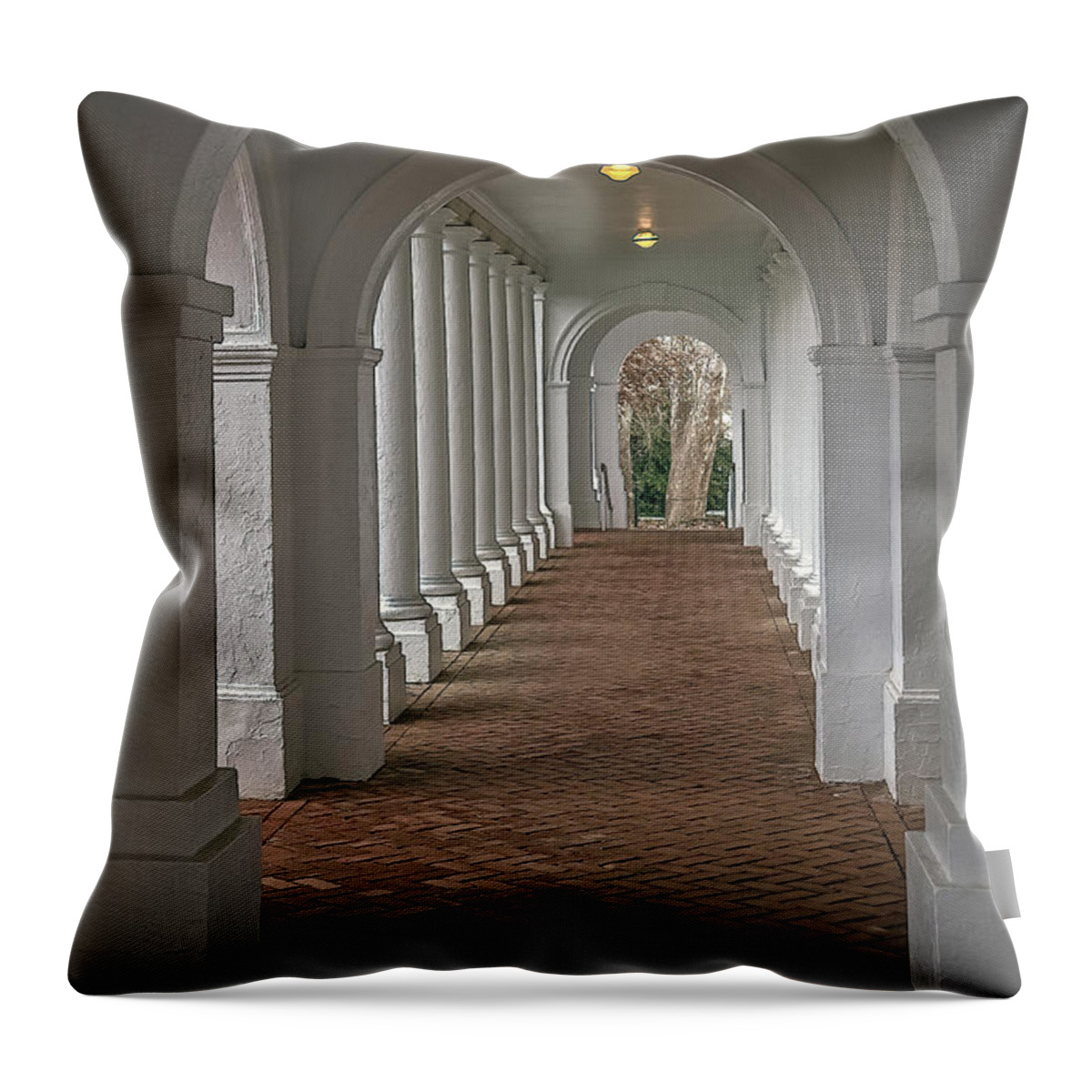 Uva Throw Pillow featuring the photograph Arches at the Rotunda at University of VA by Jerry Gammon