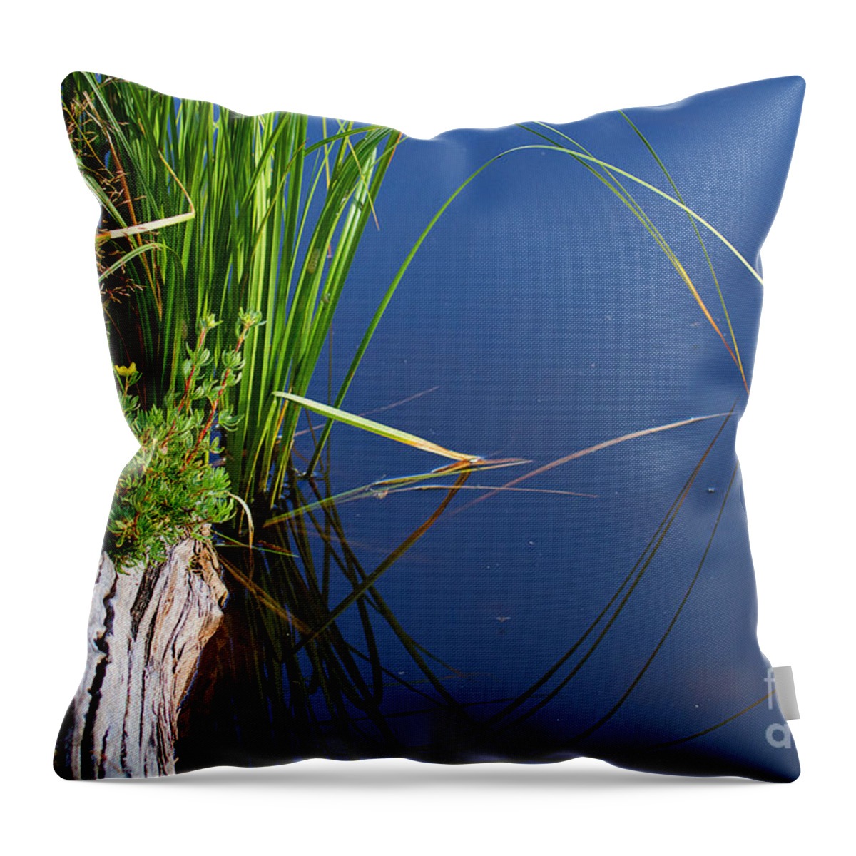 Lakeside Throw Pillow featuring the photograph Arches by Jim Garrison