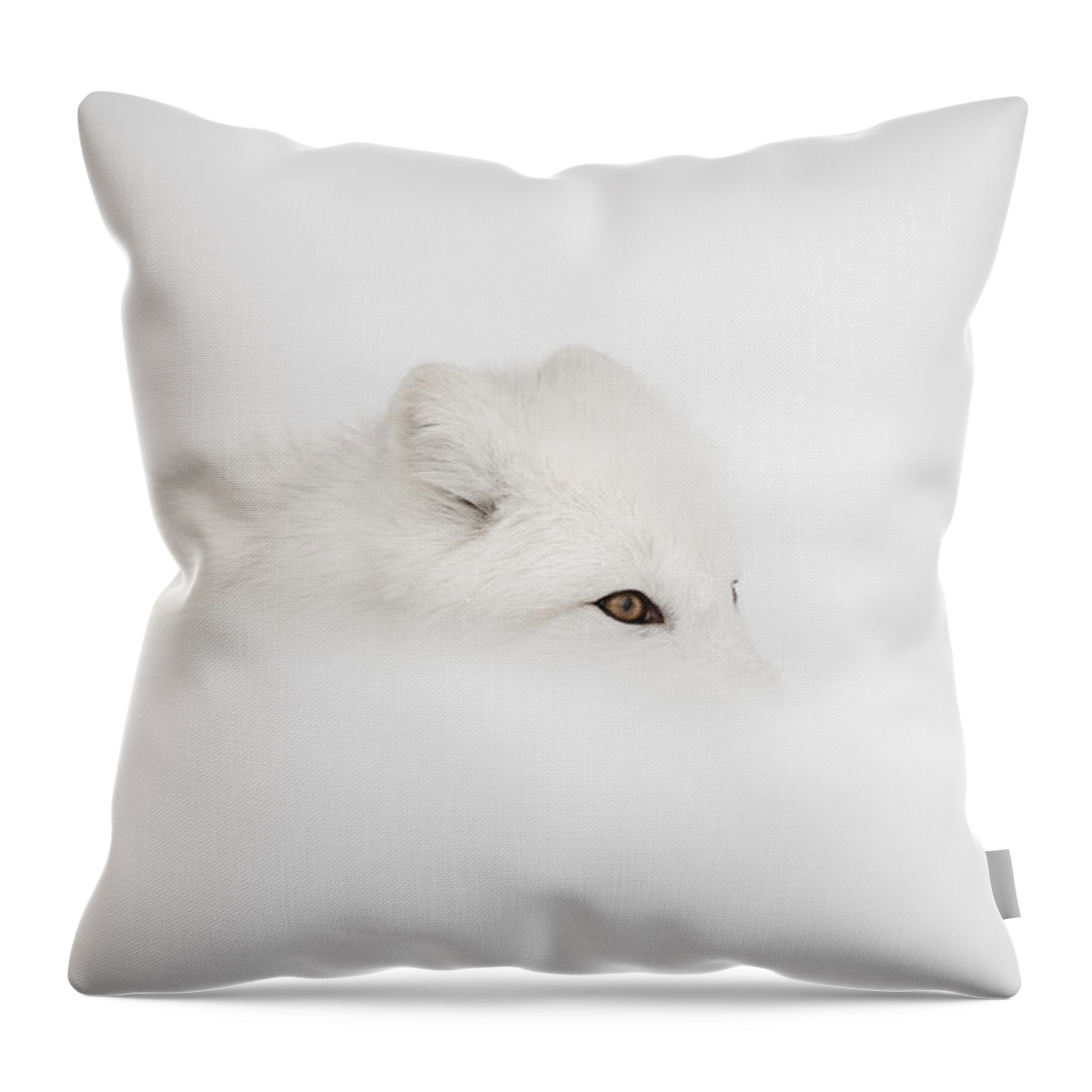 Arctic Circle Throw Pillow featuring the photograph Arctic Fox by Andy Astbury