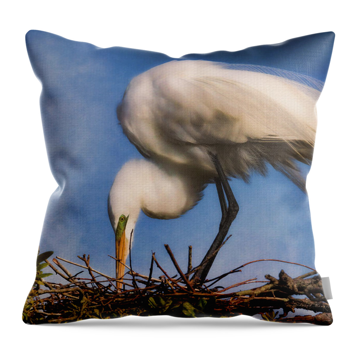 Egret Throw Pillow featuring the photograph Are They Going To Hatch Soon by Deborah Benoit