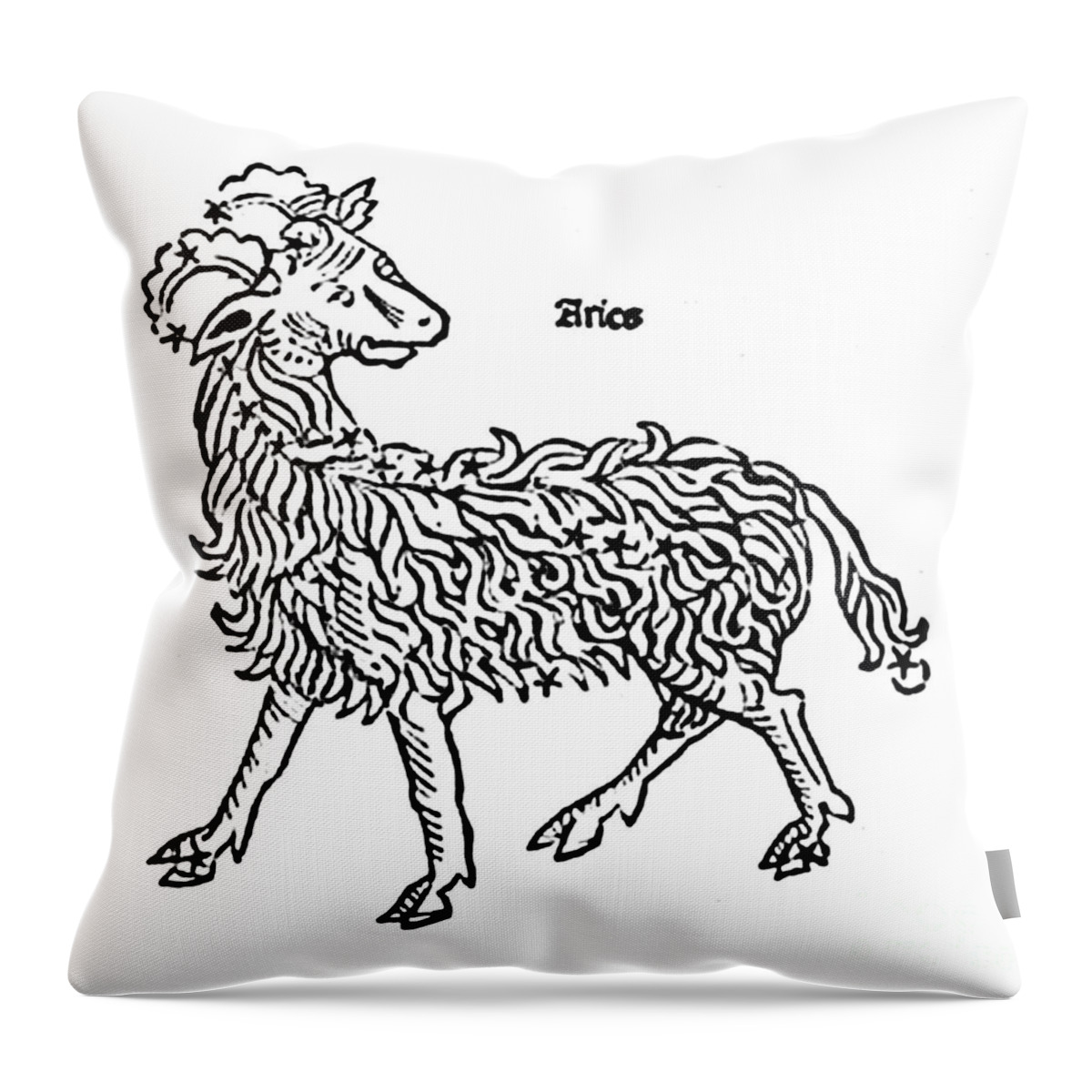 Aries Throw Pillow featuring the photograph Aries Constellation Zodiac Sign 1482 by Science Source