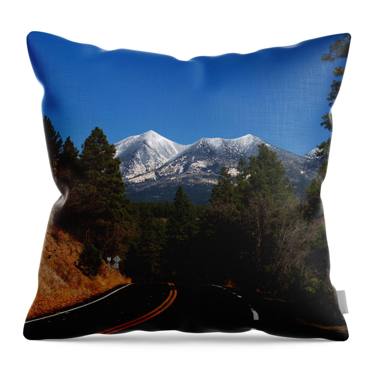 Arizona Throw Pillow featuring the photograph Arizona Country Road by Joshua House