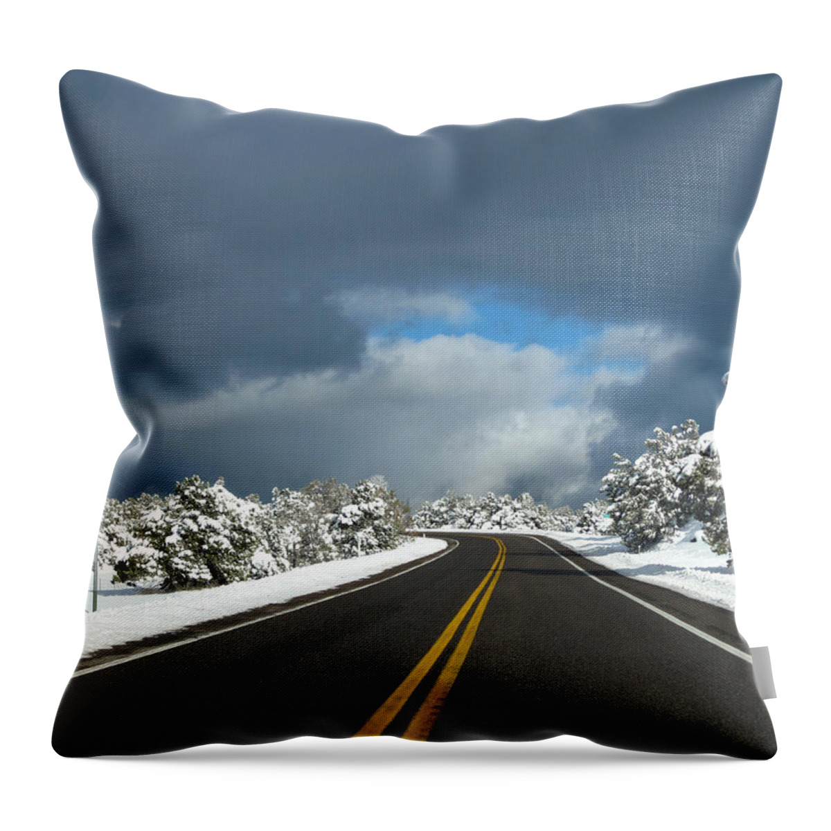  Throw Pillow featuring the photograph Arizona Snow 1 by Gregory Daley MPSA