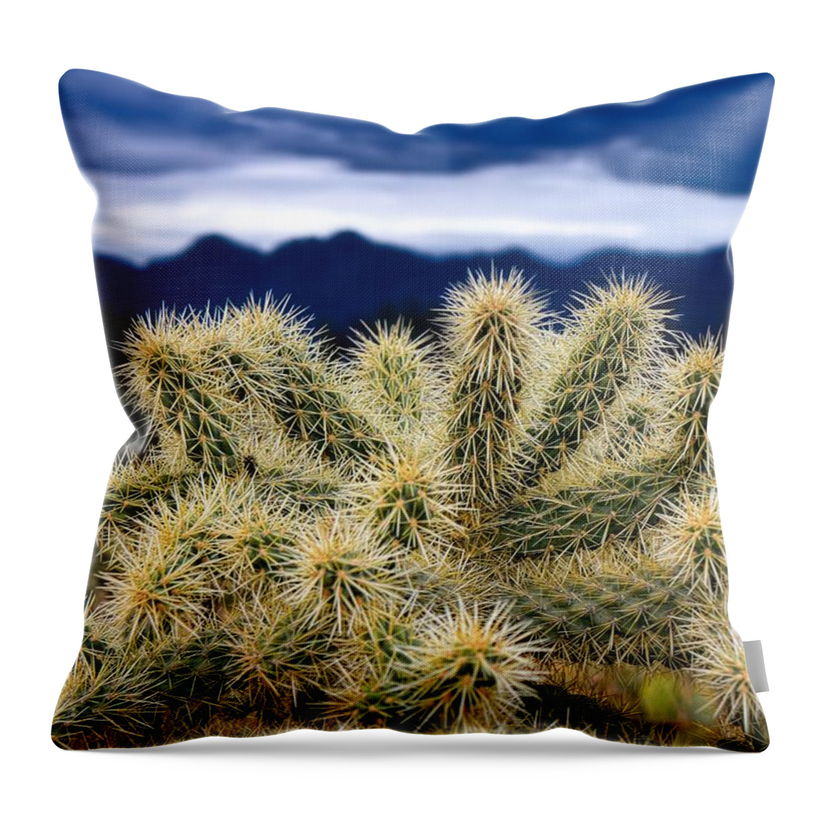 Arizona Throw Pillow featuring the photograph Arizona Teddy Bear Cactus by Henry Kowalski