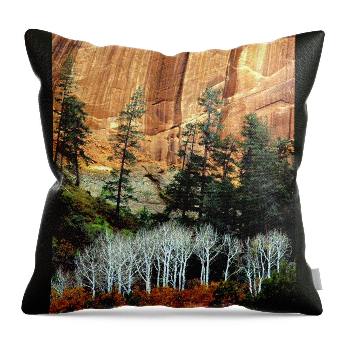 Betatkin Throw Pillow featuring the photograph Tsegi Canyon  by Ed Riche