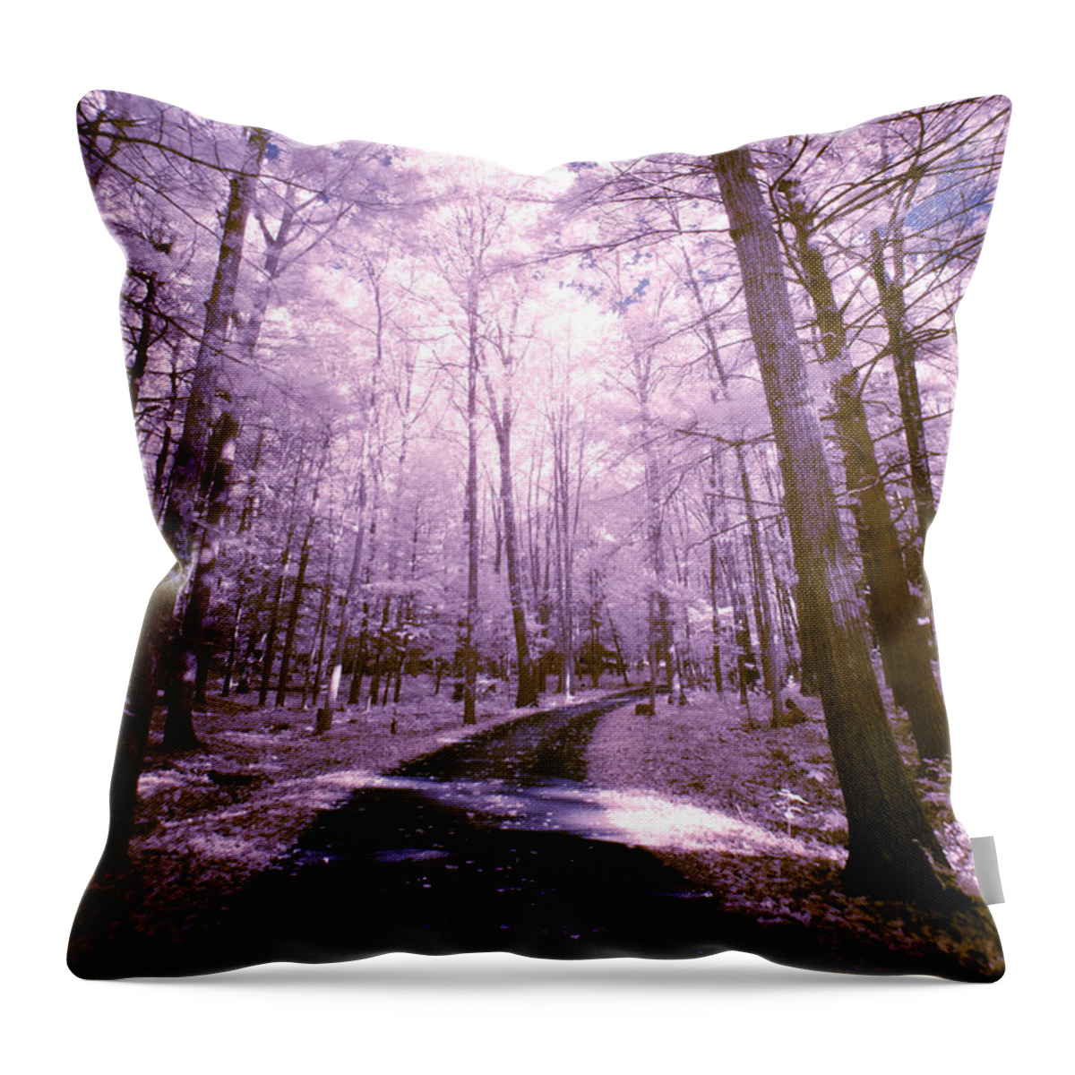 Infrared Photography Throw Pillow featuring the photograph Path through Trees by Crystal Wightman
