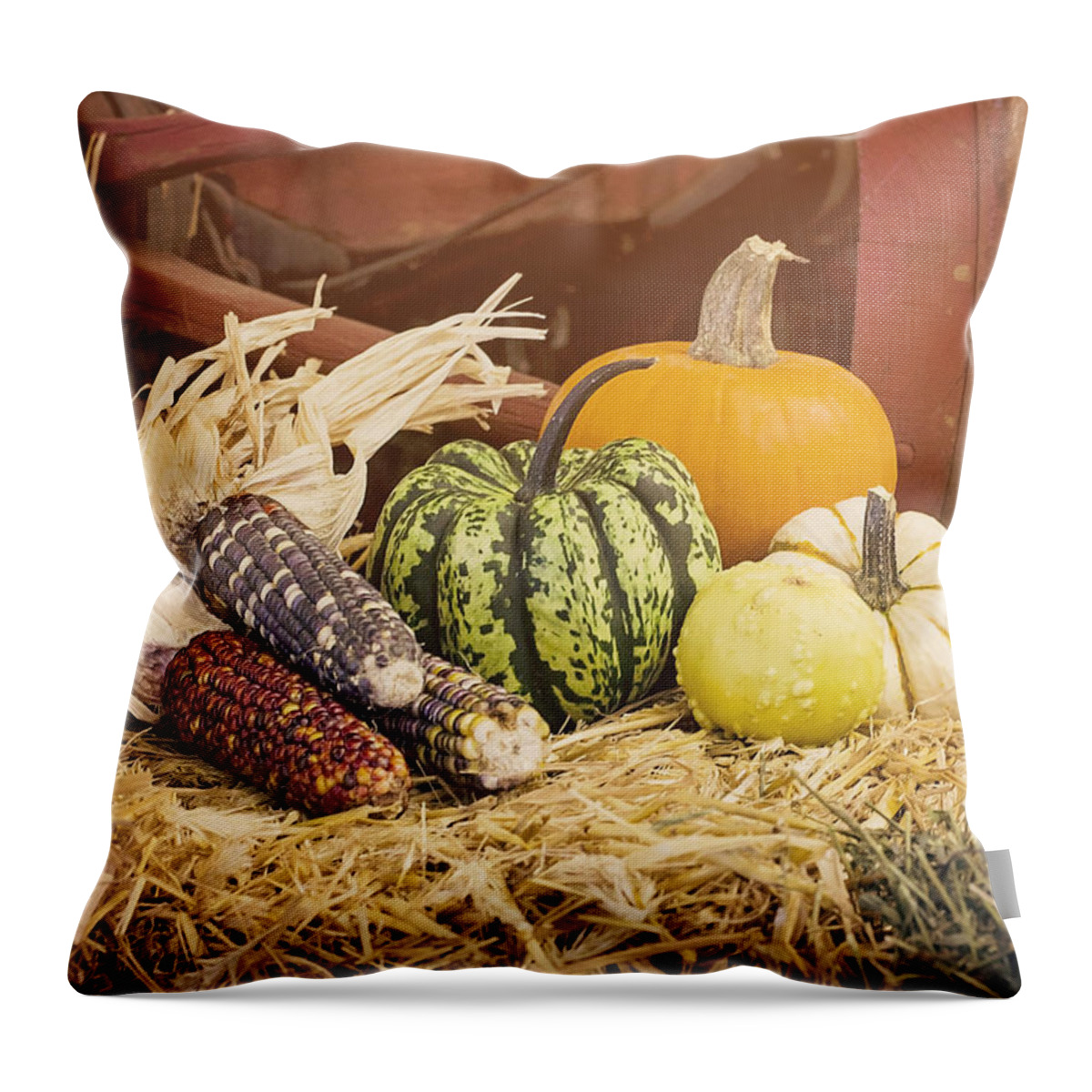 Pumpkin Throw Pillow featuring the photograph Arrival of Autumn by Heather Applegate