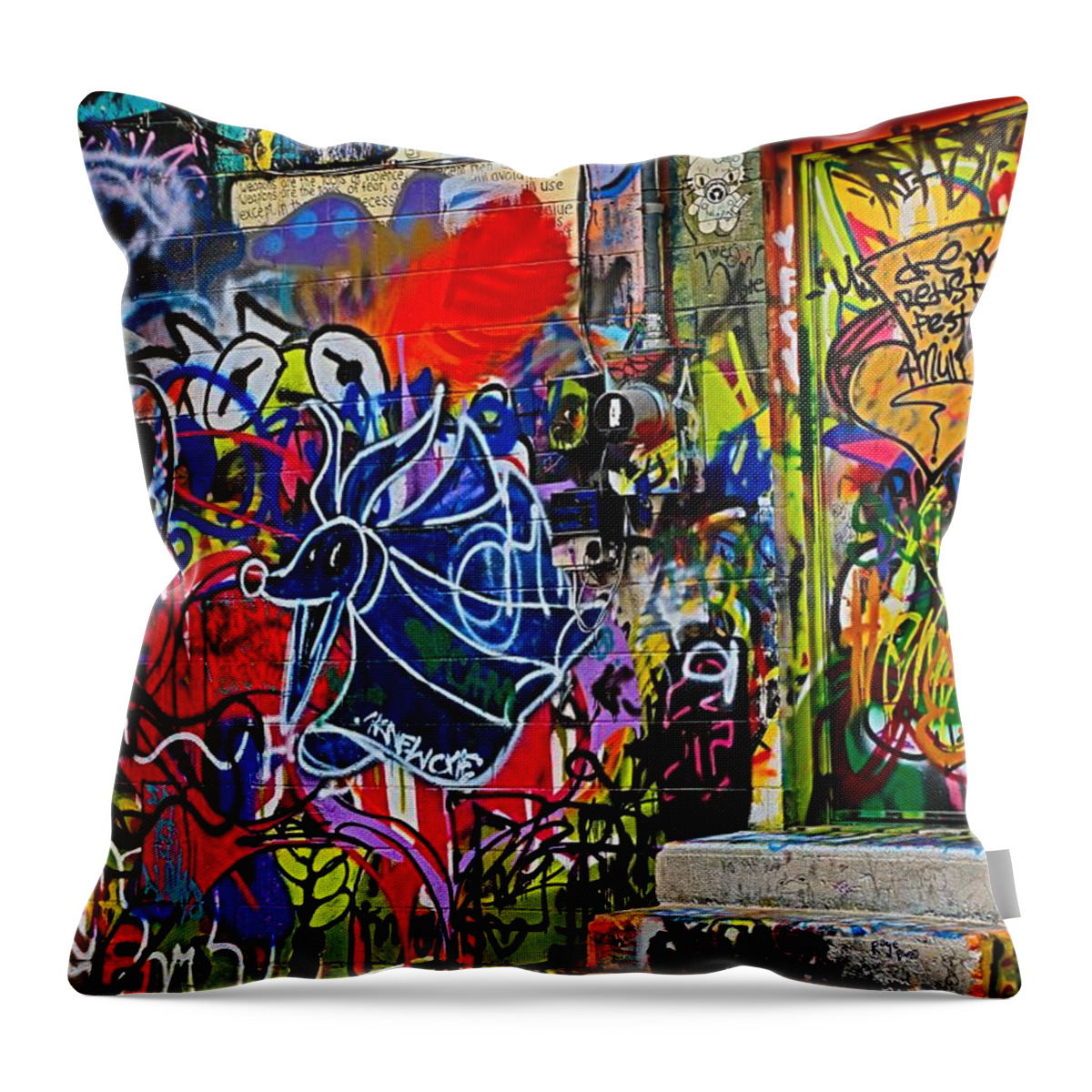 Art Alley Throw Pillow featuring the photograph Art Alley Three by Donald J Gray