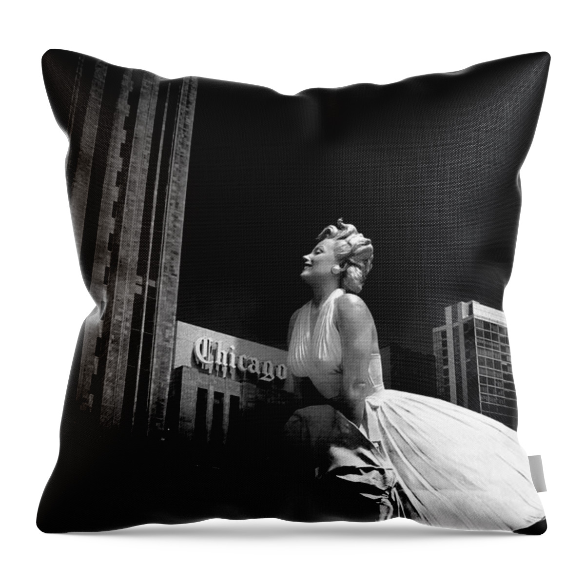 Chicago Throw Pillow featuring the photograph Art in Chicago by Milena Ilieva