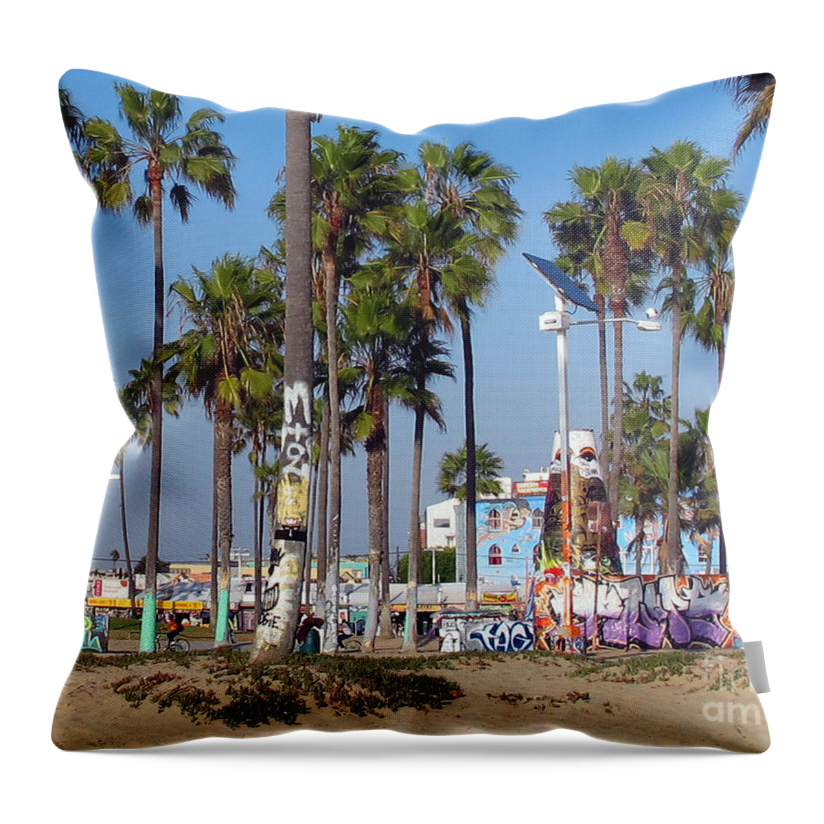 Graffiti Throw Pillow featuring the photograph Art Of Venice Beach by Kelly Holm