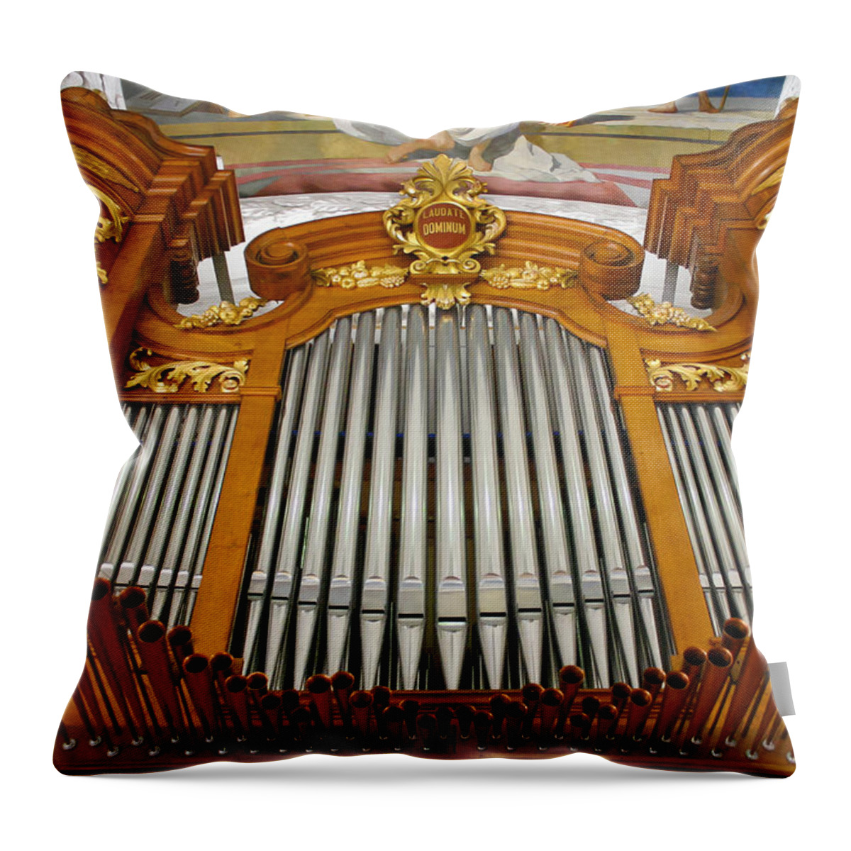 Arth Goldau Throw Pillow featuring the photograph Arth Goldau organ by Jenny Setchell