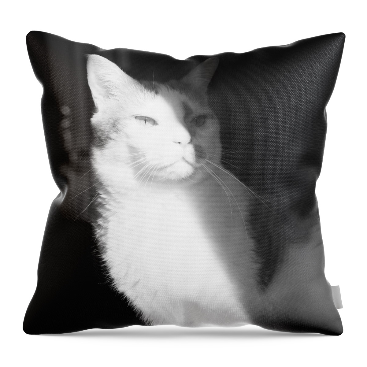 Cat Throw Pillow featuring the photograph Arthouse Kitty by Sharon Popek
