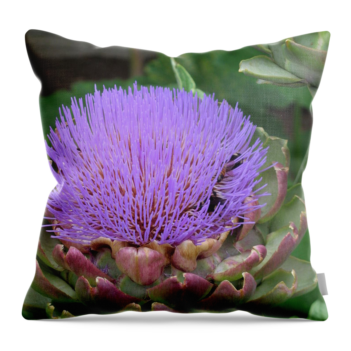Artichoke Throw Pillow featuring the photograph Artichoke Purple by Mars Besso