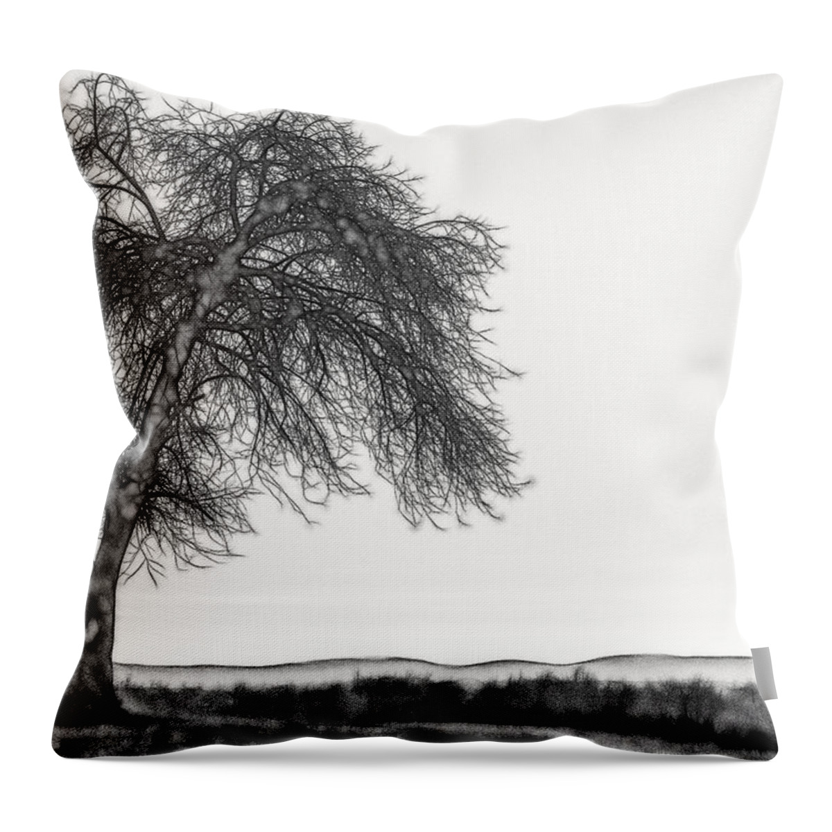 Landscape Throw Pillow featuring the photograph Artistic Black and White Sunset Tree by Don Johnson