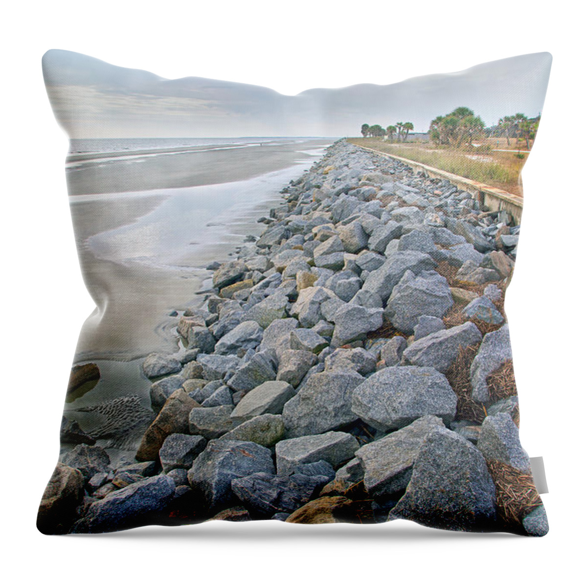 Jekyll Throw Pillow featuring the photograph Artistic Division by Betsy Knapp