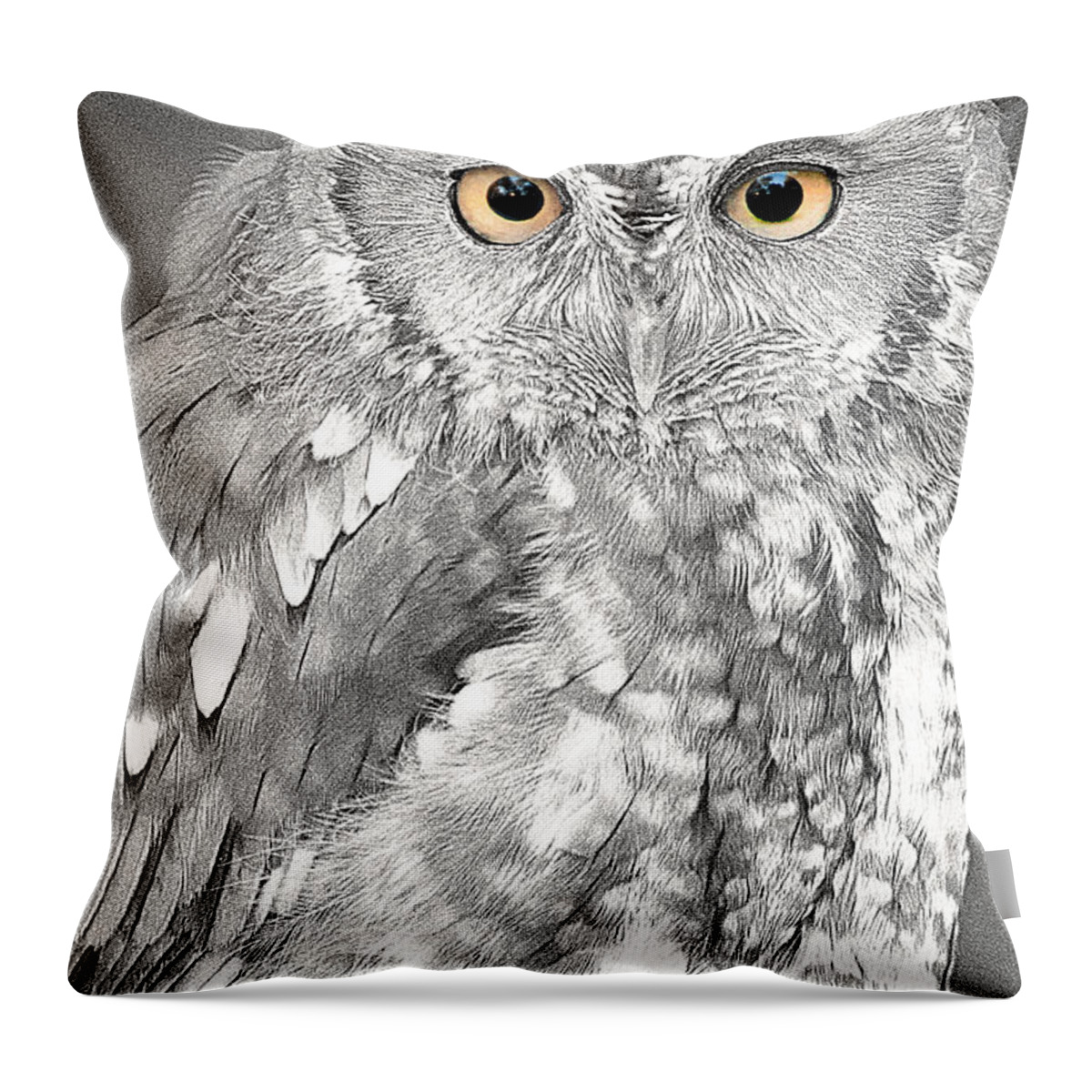 Bird Throw Pillow featuring the photograph Artistic Red Screech Owl by Don Johnson