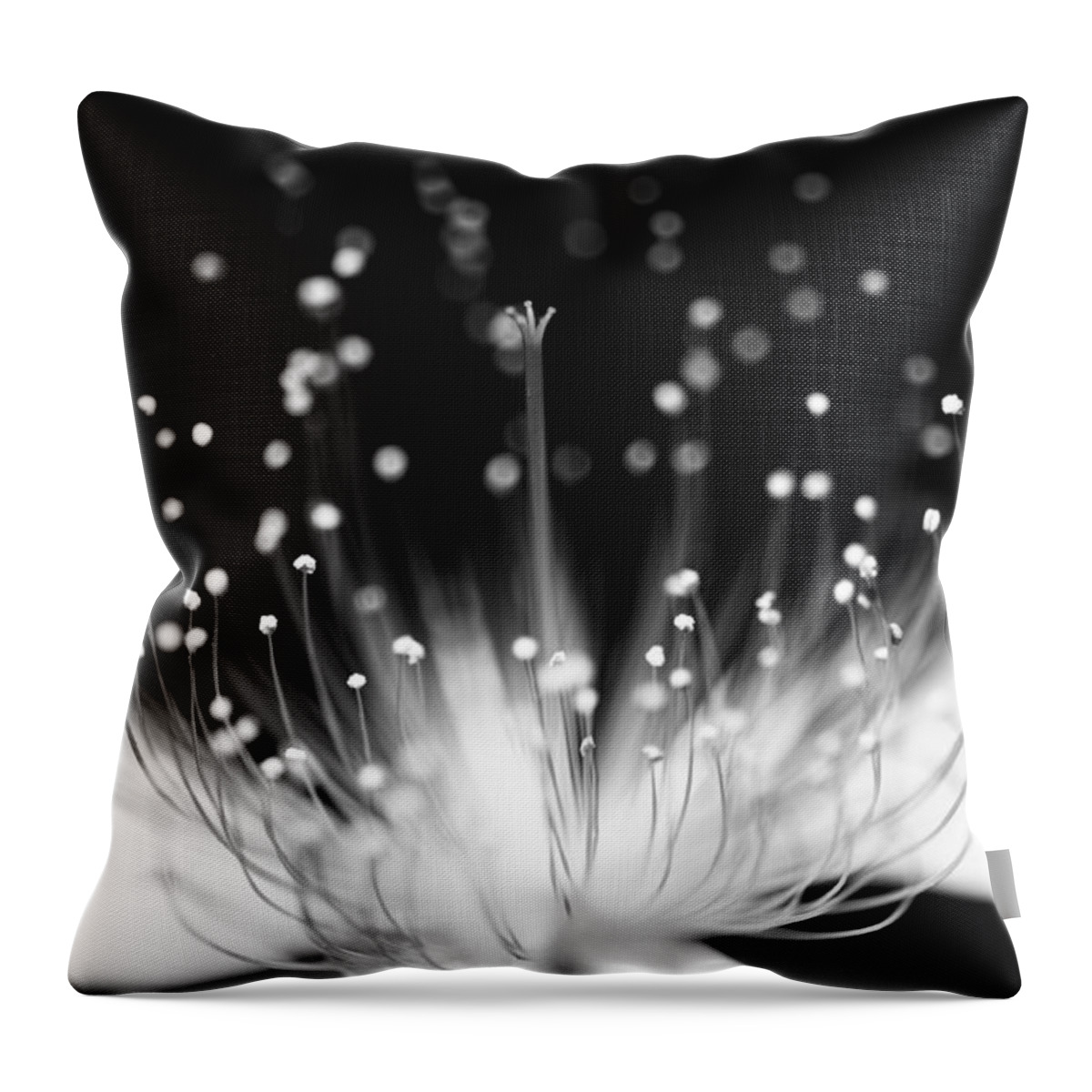 Black Background Throw Pillow featuring the photograph As Flame by Char