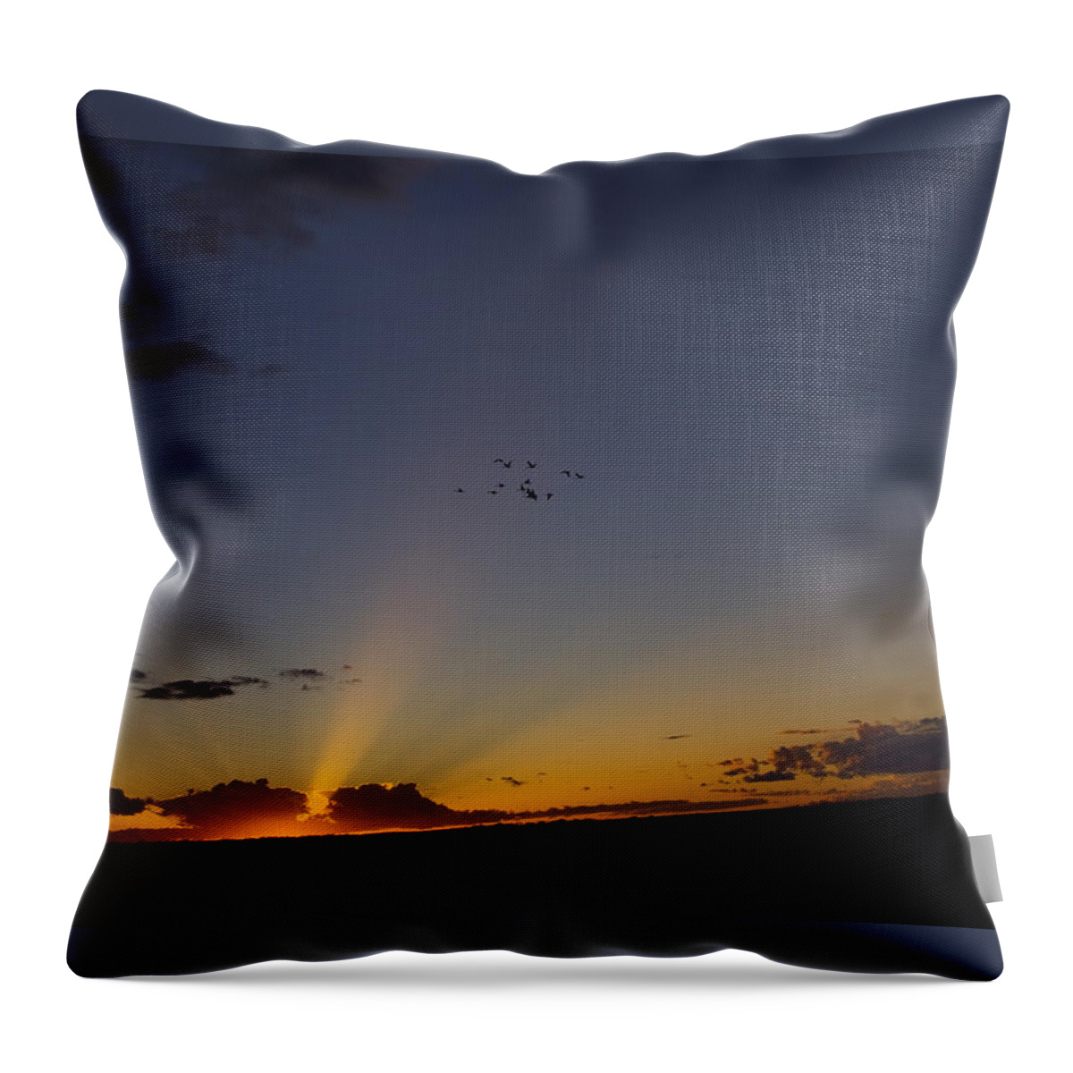 Photograph Throw Pillow featuring the photograph As Night Falls by Rhonda McDougall