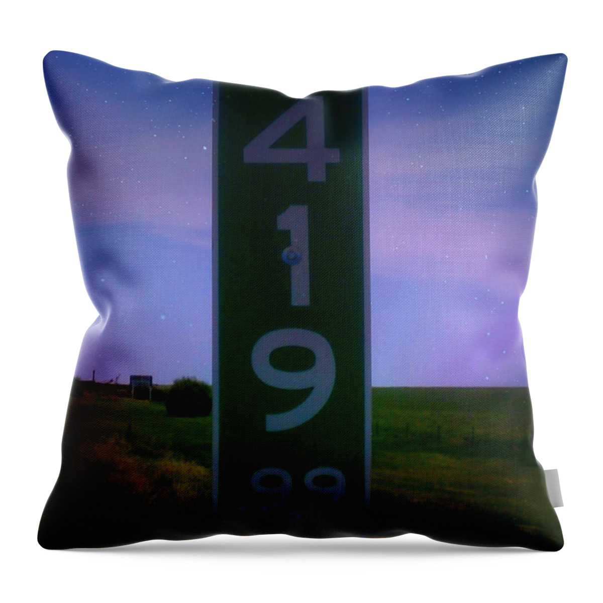  Throw Pillow featuring the photograph As Pure as it Gets in Colorado by Kelly Awad