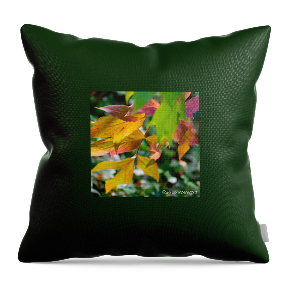 Maple Leaves Throw Pillow featuring the photograph Maple leaves changing color by Anna Porter