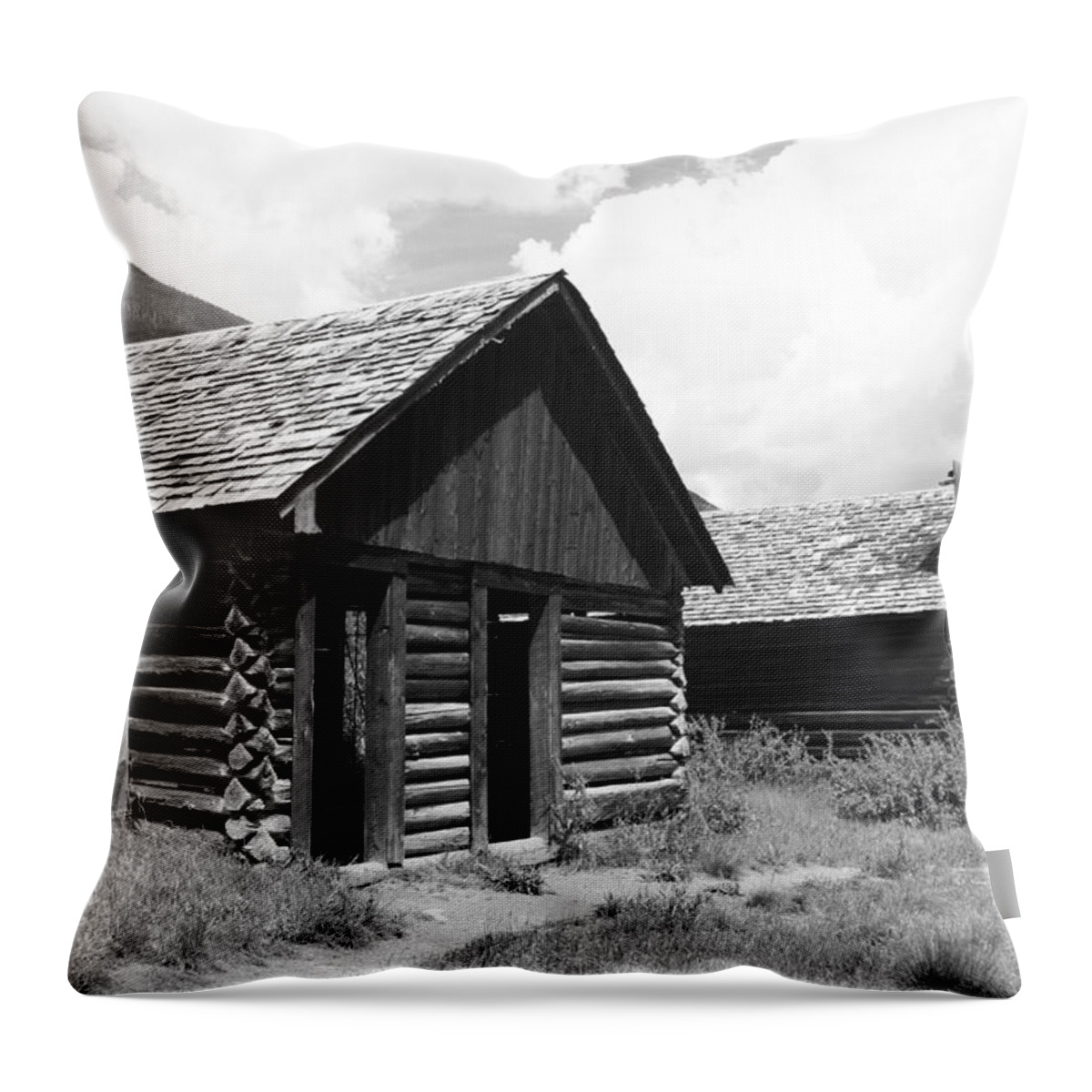 Landscapes Throw Pillow featuring the photograph Ashcroft Ghost Town by Eric Glaser