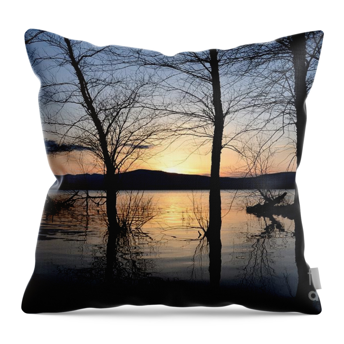 Water Throw Pillow featuring the photograph Ashokan Reservoir 43 by Cassie Marie Photography