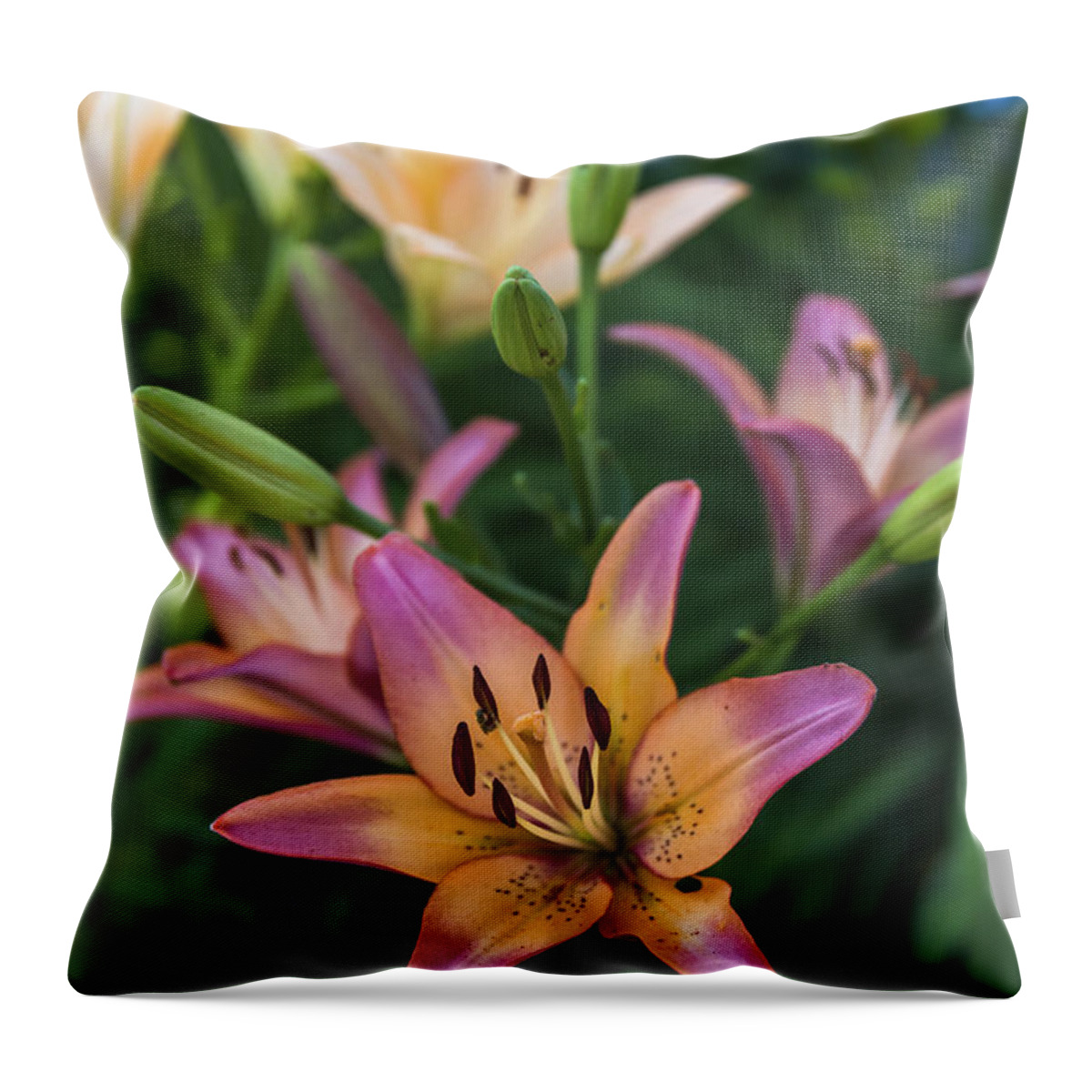 Mark Papke Throw Pillow featuring the photograph Asiatic Lillies by Mark Papke
