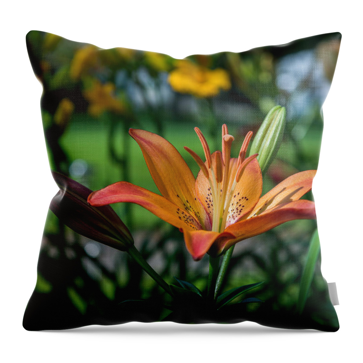 Mark Papke Throw Pillow featuring the photograph Asiatic Lily by Mark Papke